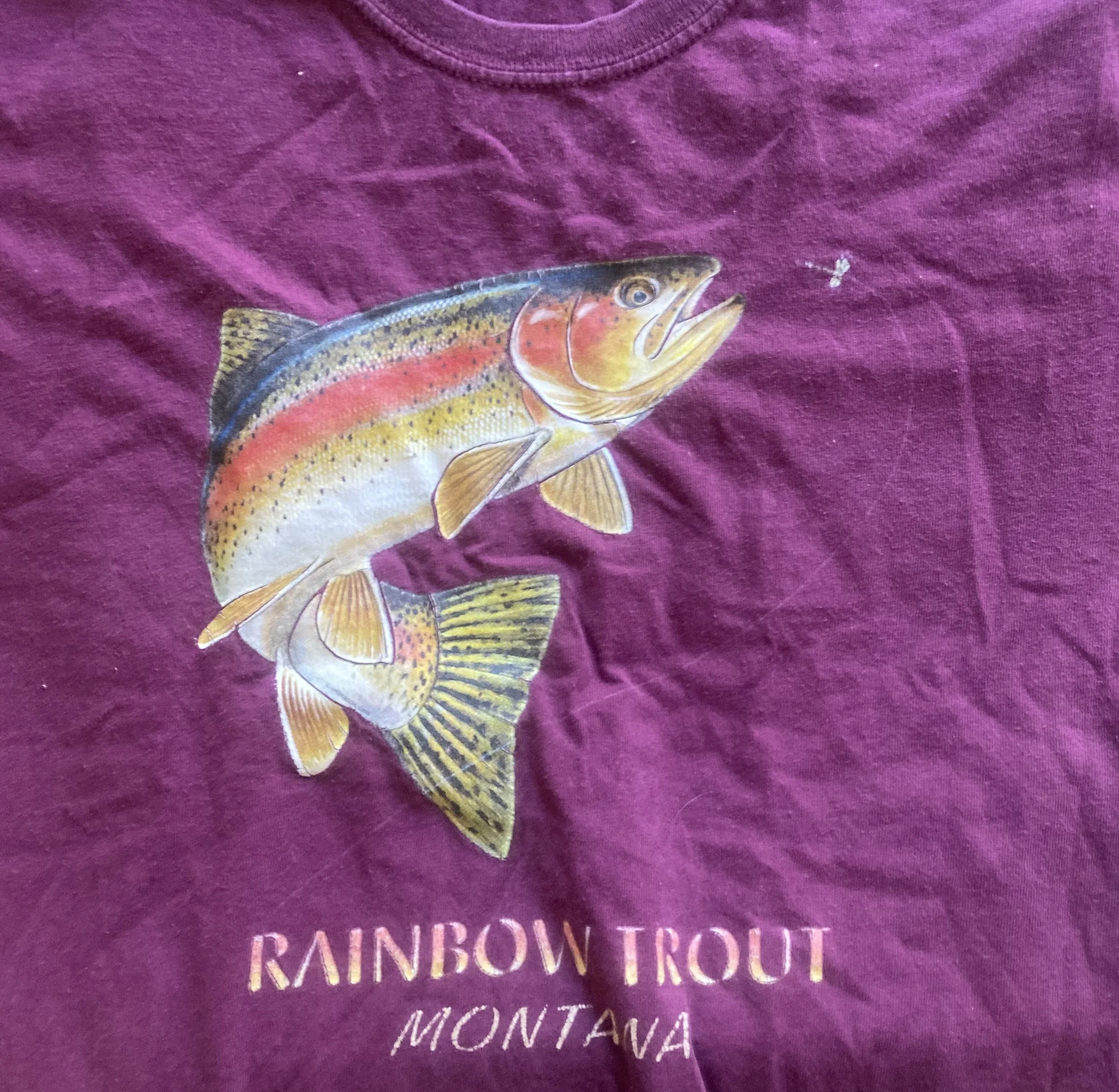rainbow trout montana.jpg