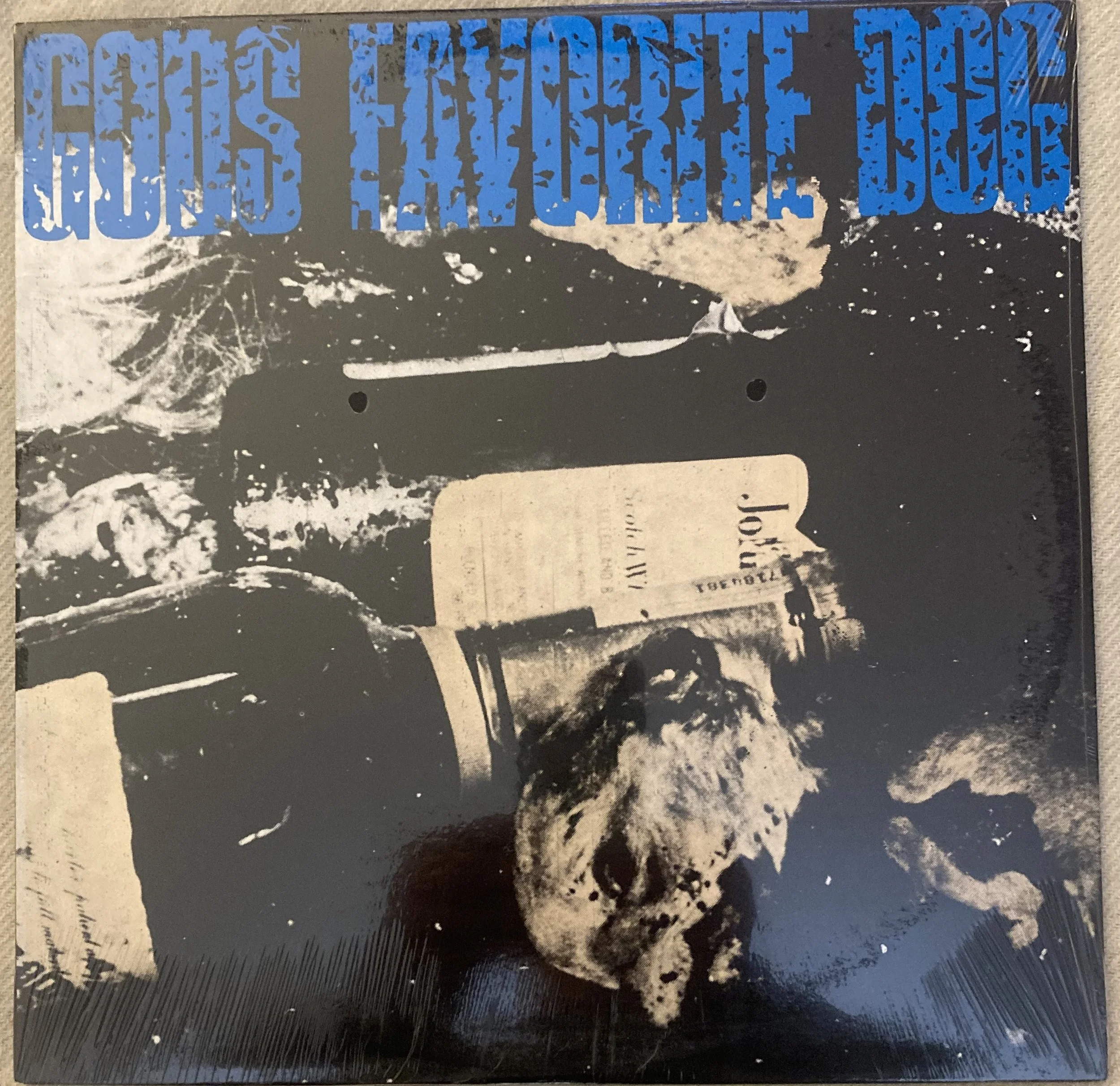 va god;s fave dog.jpg