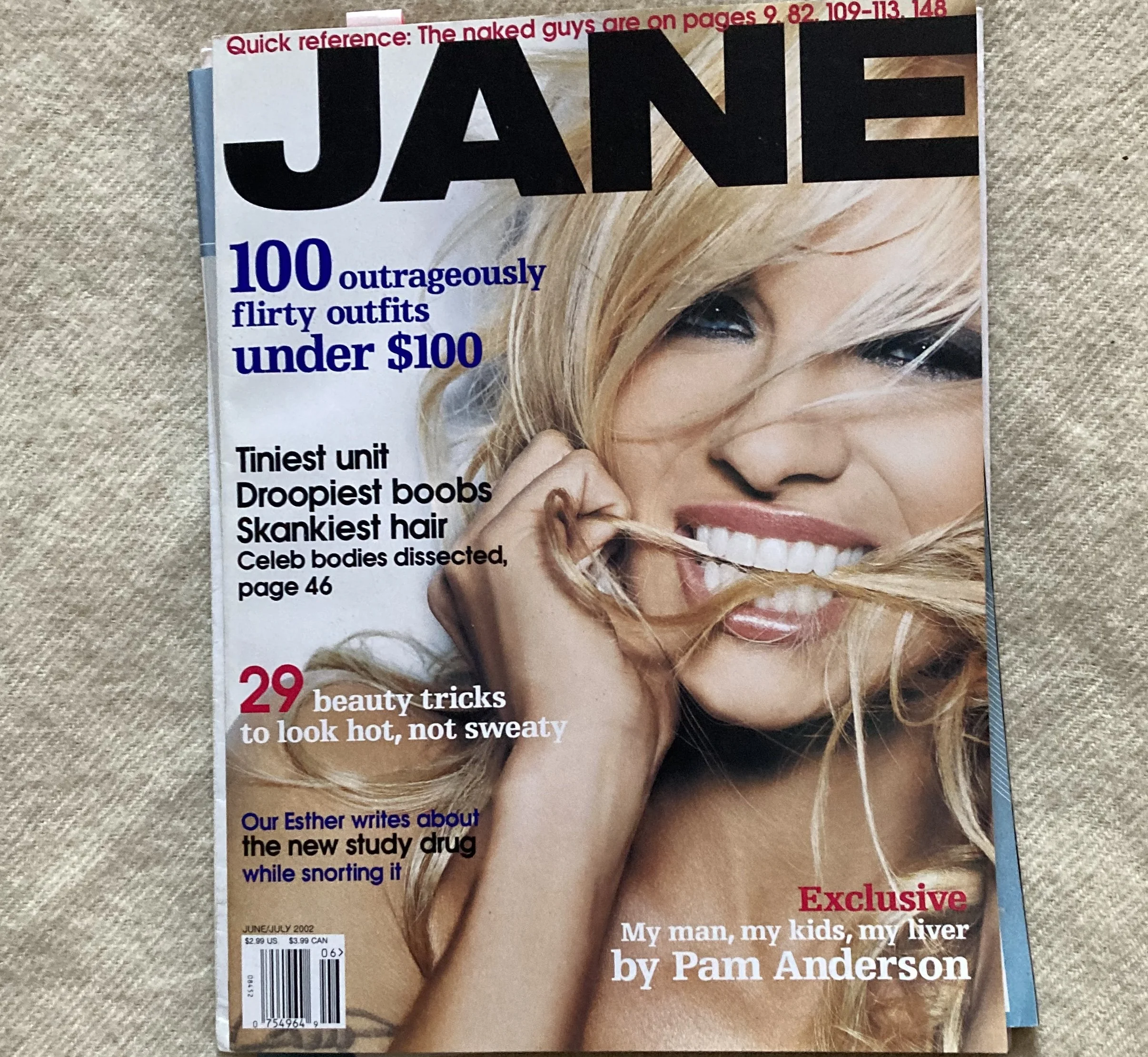 JANE PAM ANDERSON COVER