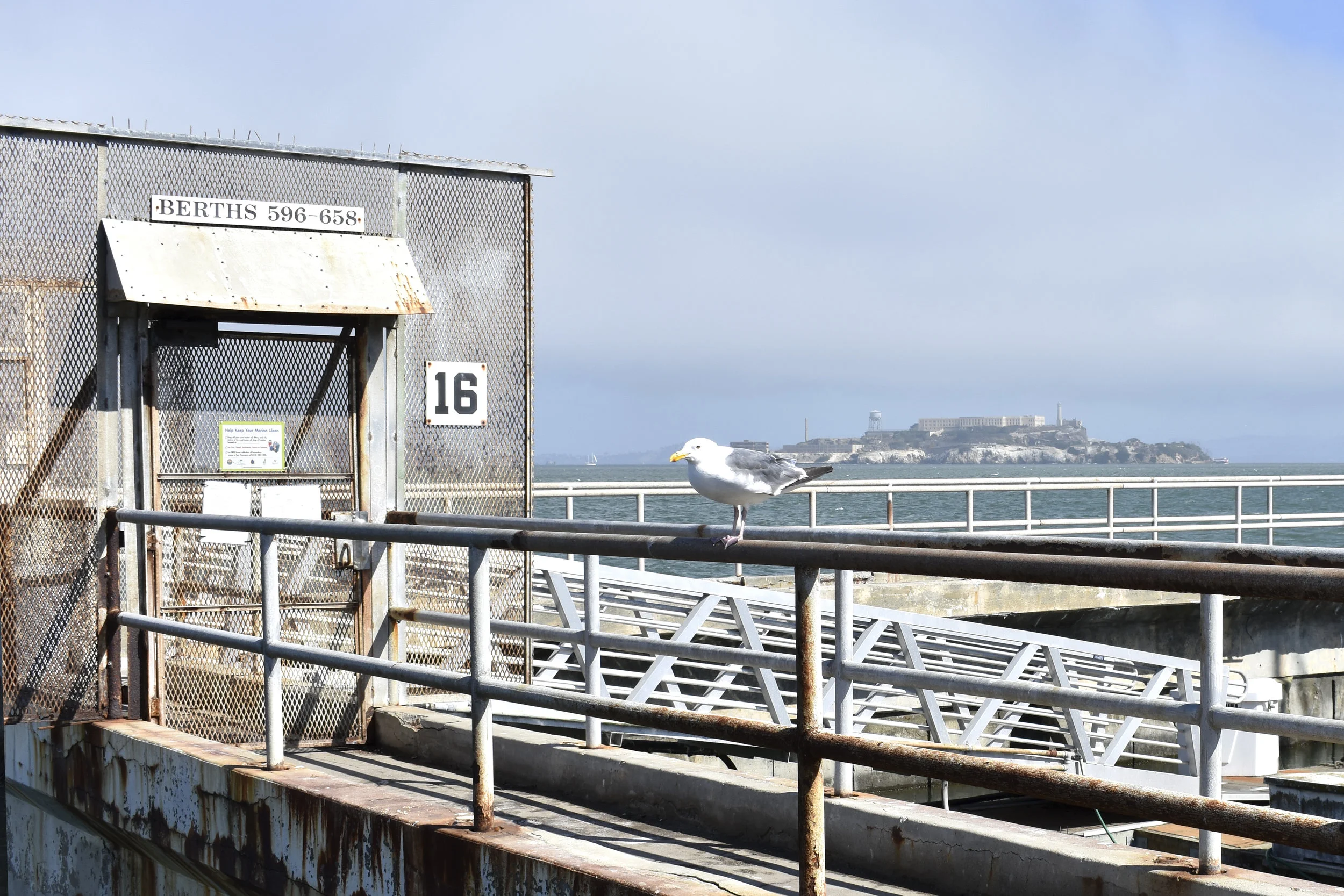 San Francisco-4.jpg
