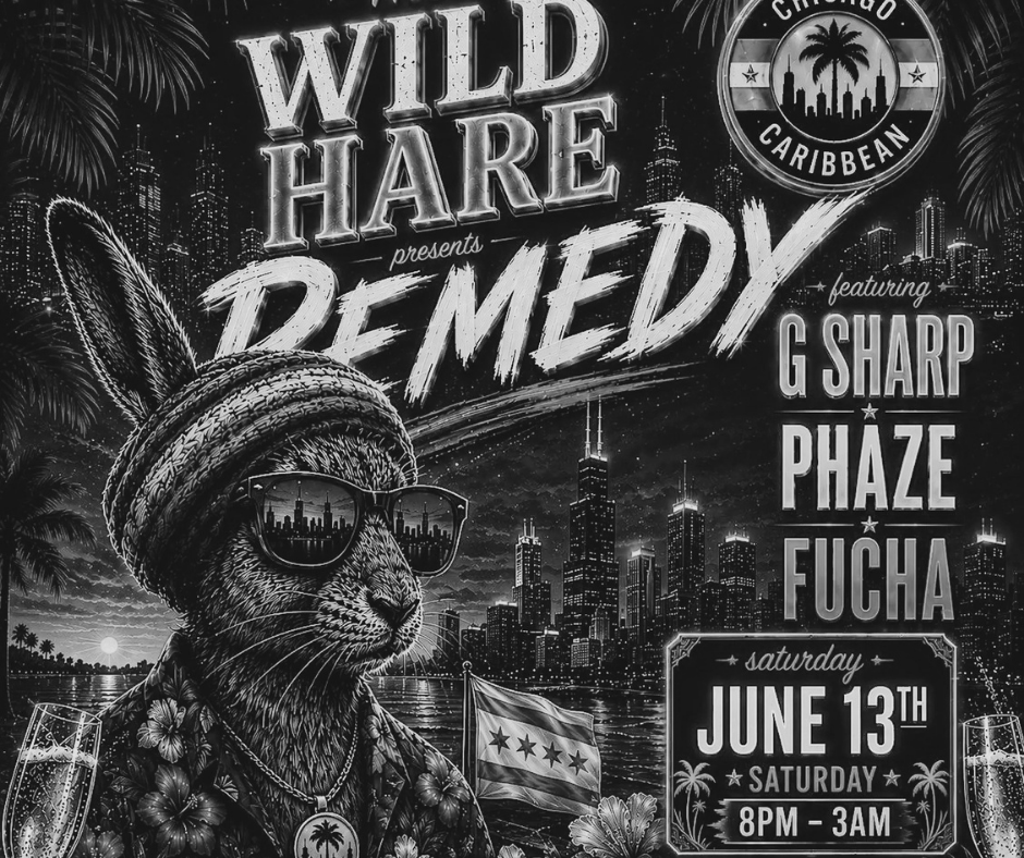 DJ G Sharp &amp; DJ Fucha - REMEDY