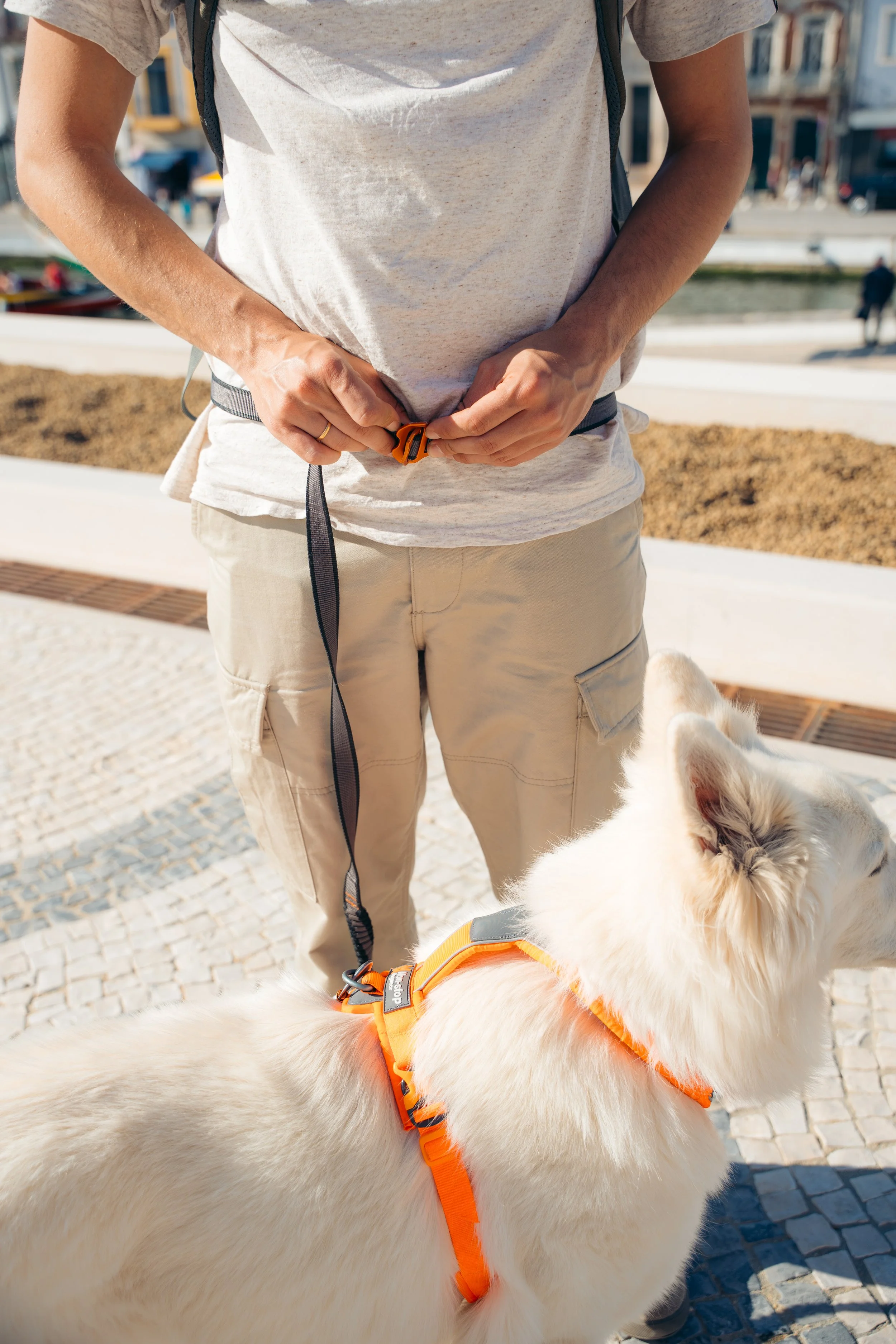 NonStop DogWear12.jpg