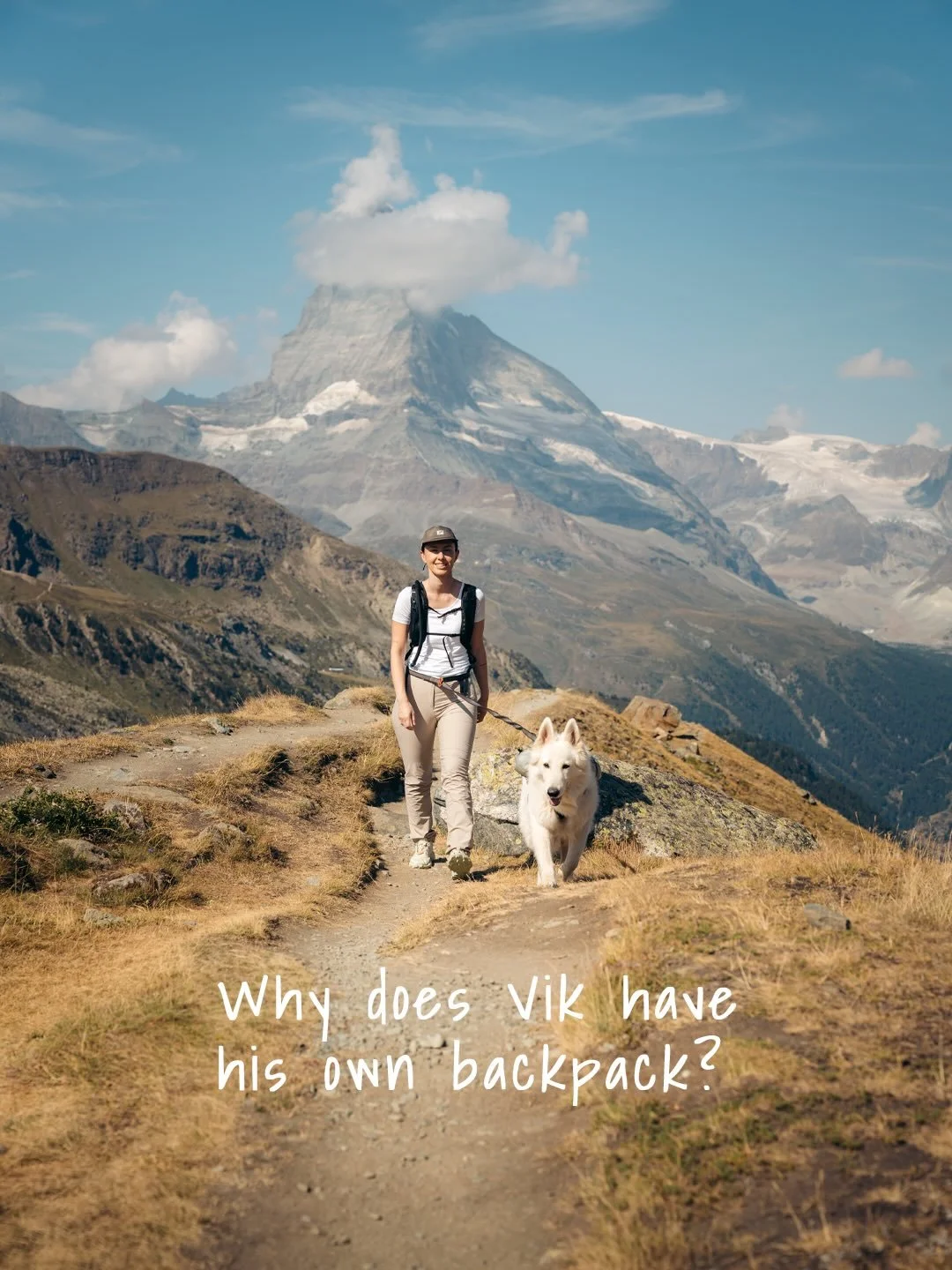 Vik came to Switzerland with one mission: carrying some of his own gear.

Water, a few treats, and everything he needs for a full day in the mountains.

@nonstopdogwear sent us this backpack before the trip, and it ended up coming with us on every hi
