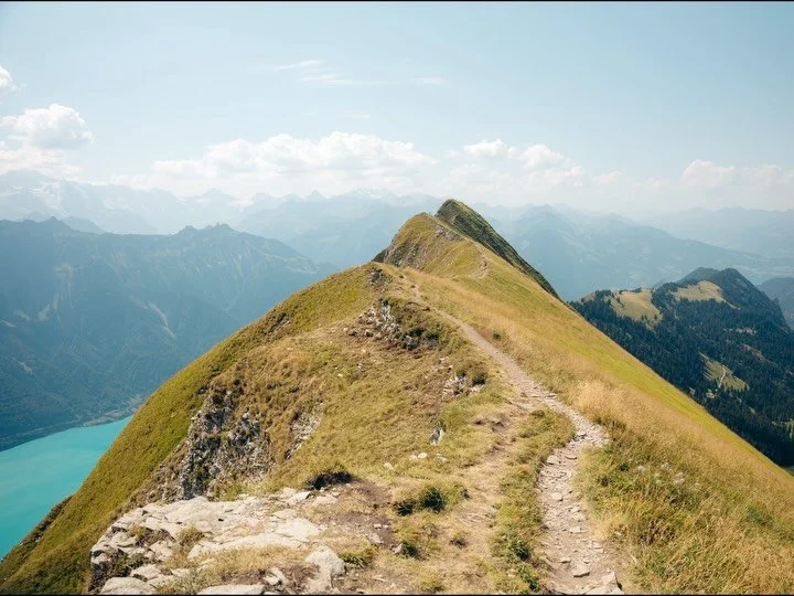 Another day in the Swiss Alps 🏔️🫶🏽

#SwissAlps #SwitzerlandTravel #HikingSwitzerland #SwissMountains #HikingWithDogs