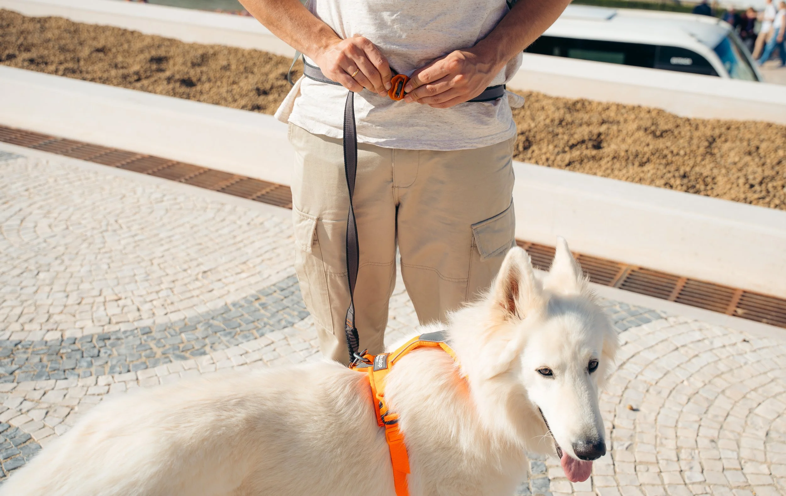 NonStop DogWear13.jpg