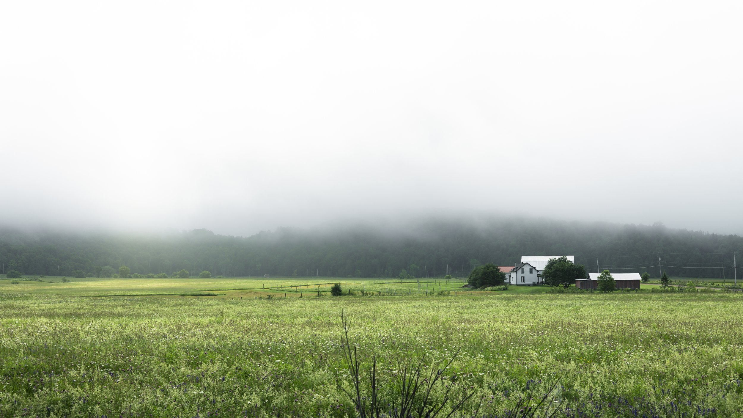 Fog Field Moutain and House 01 (1 of 1)-2.jpg