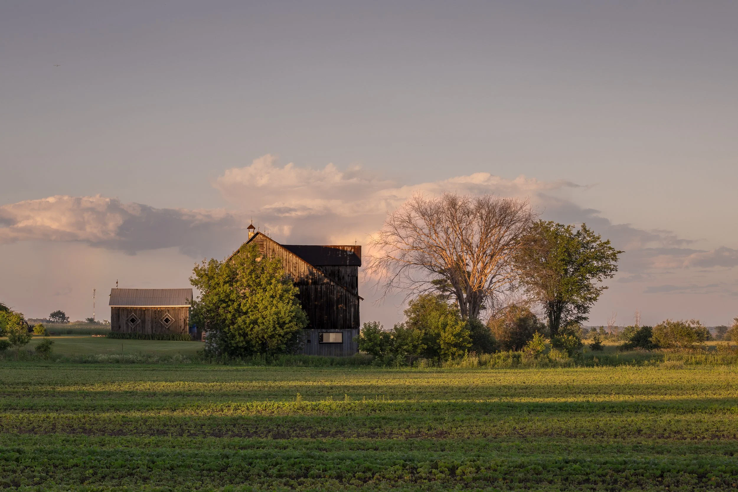 House Sunset 01 (1 of 1)-2.jpg