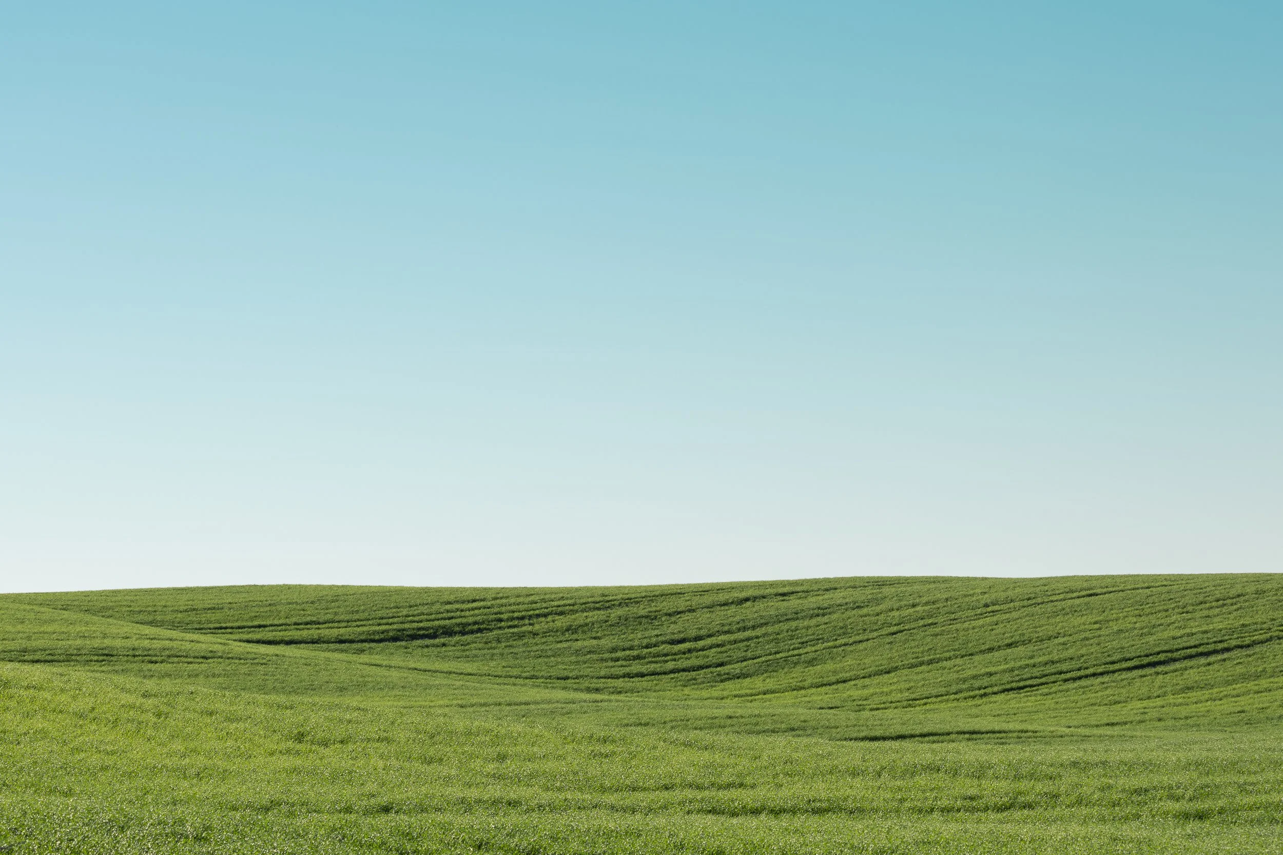 Green pasture fields with rolling hills under a clear blue sky.
