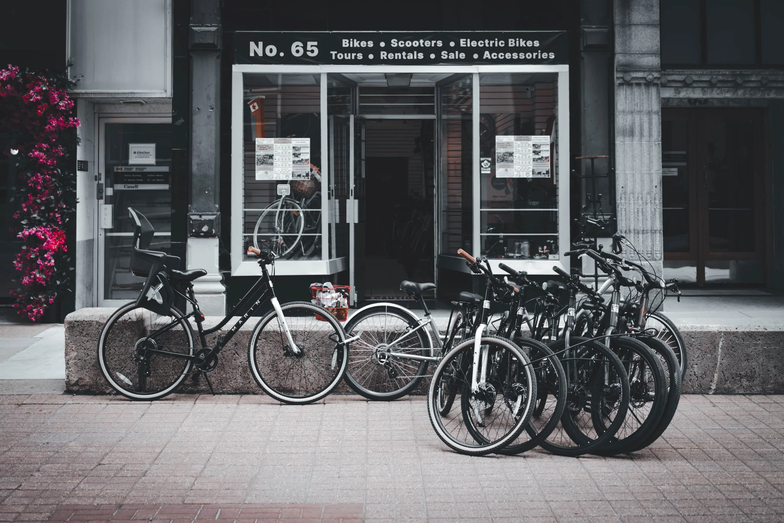 Bikes 01 (1 of 1).jpg