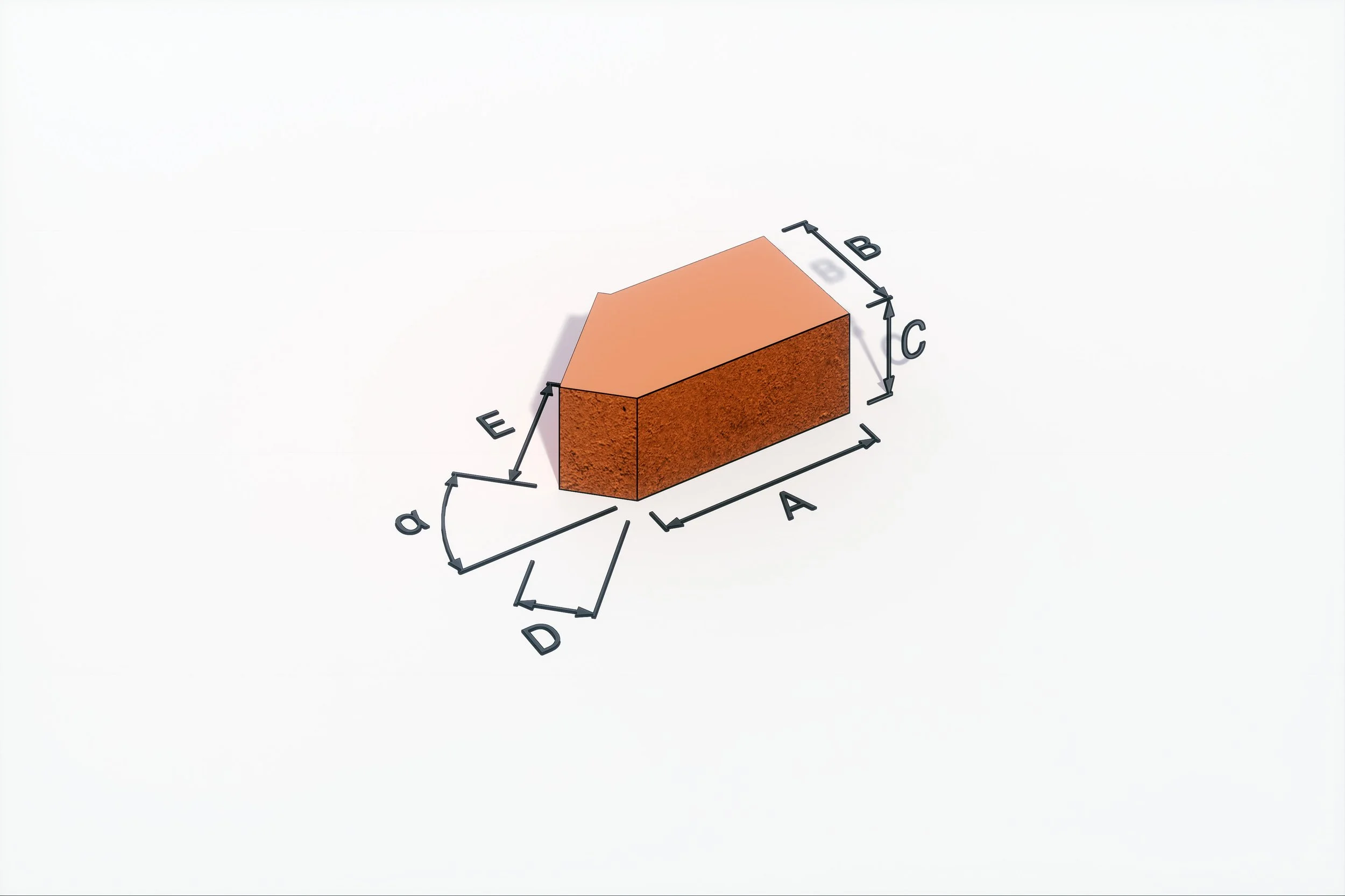 AN1_Image1.jpg