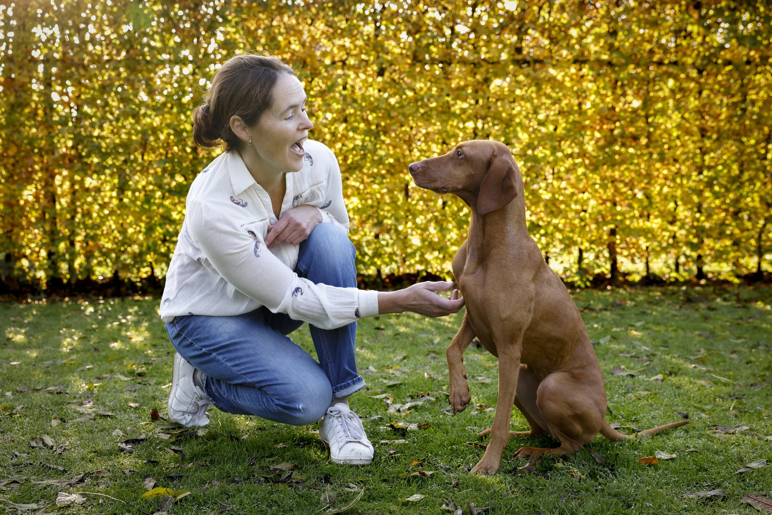 A woman crouching down and smiling at a brown dog sitting on grass with autumn leaves, backdropped by yellow foliage.