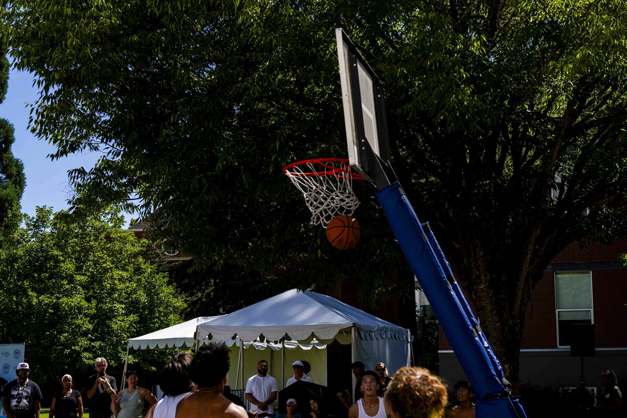 _DSC9480.jpg