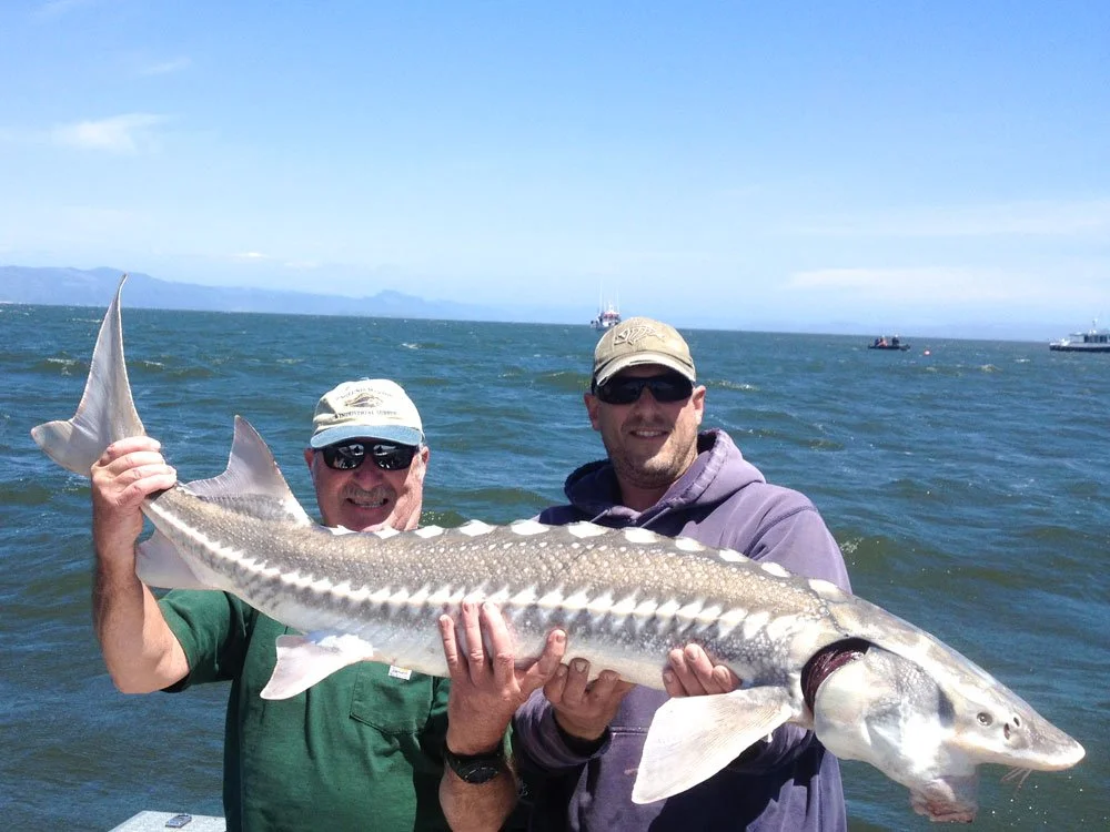 columbia-river-estuary-sturgeon.jpg
