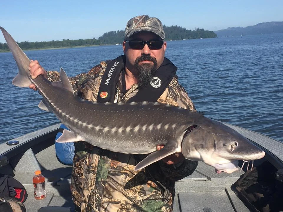fisherman holding up sturgeon caught with fishing charter in Oregon