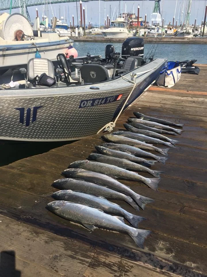 silver chinook salmon caught with fishing charter in Oregon