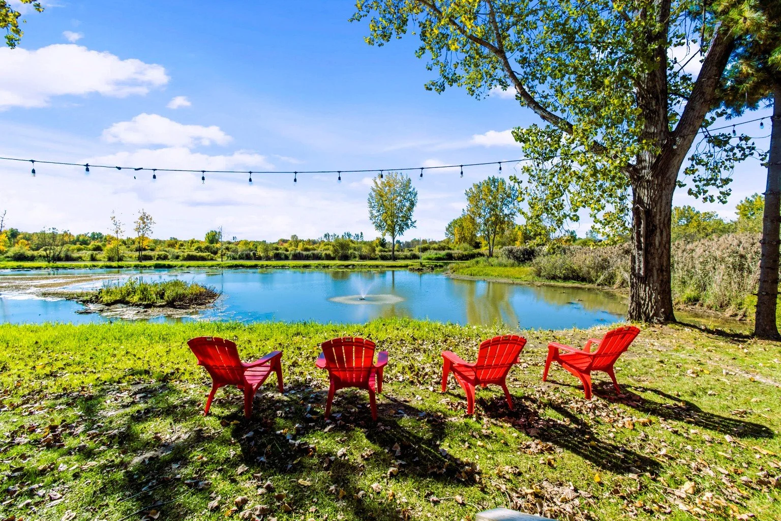 domaine de l'Archipelle22.jpg