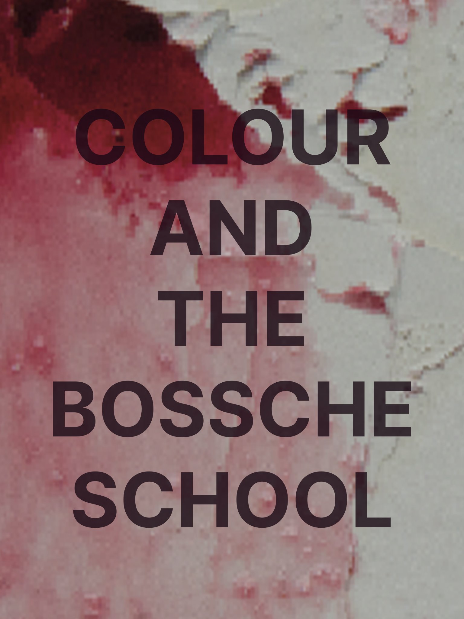 COLOUR AND THE BOSSCHE SCHOOL
