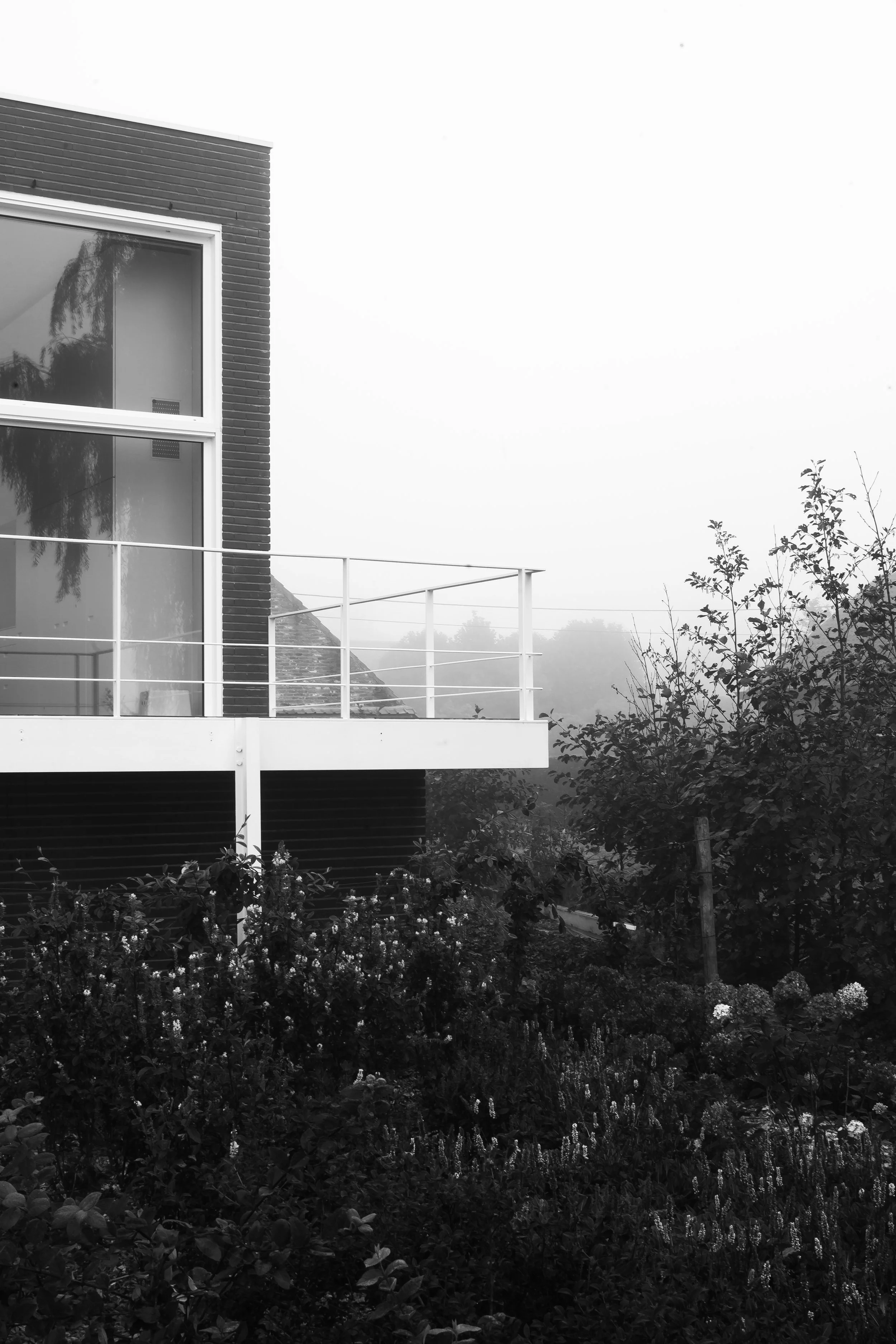 THE ARCHITECT