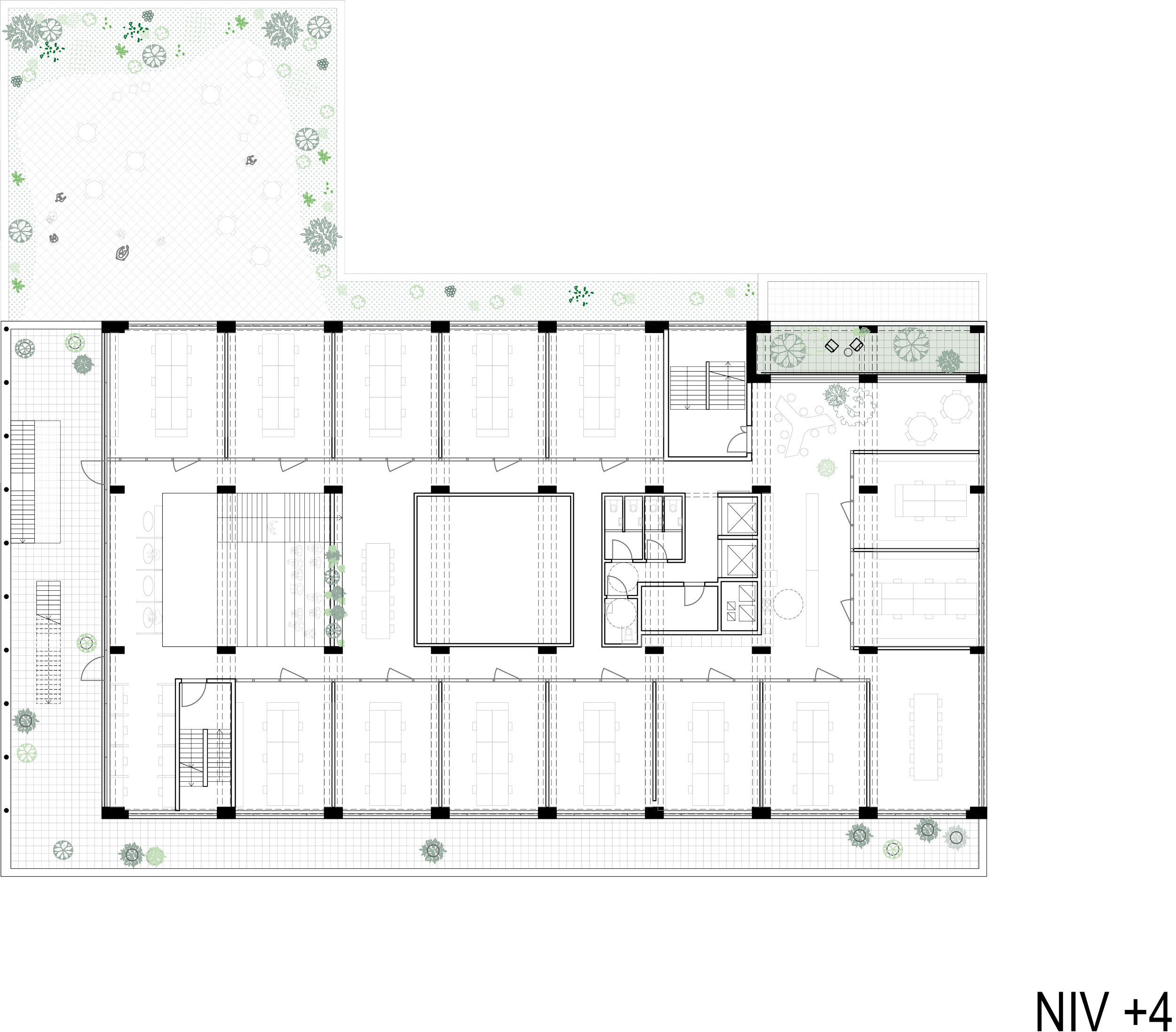 OOHODB - PLANNEN_niveau +4.png