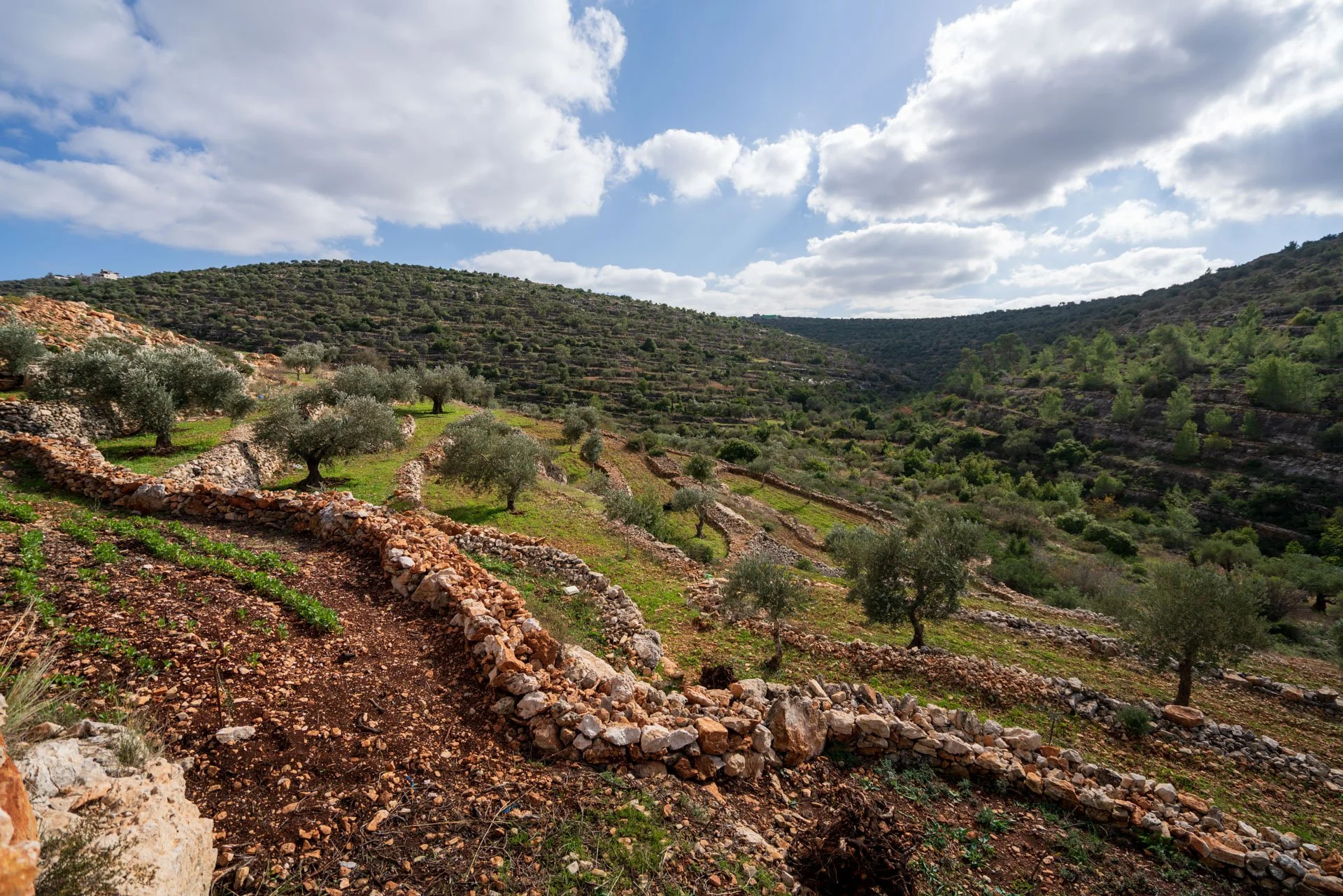 Digital photograph, archival pigment print, 2019.