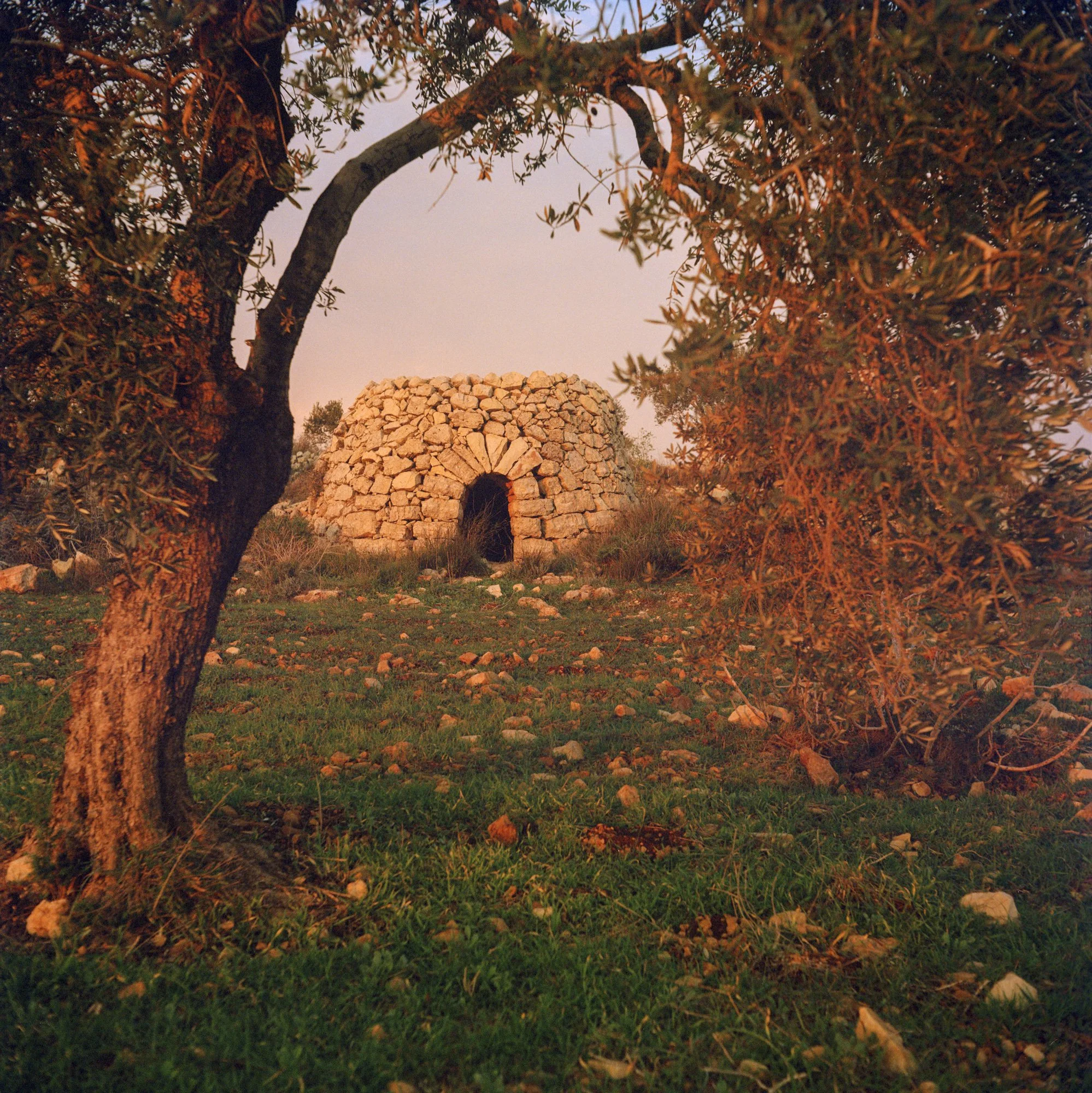 Color 120 film photograph, Archival Pigment print, 2023
