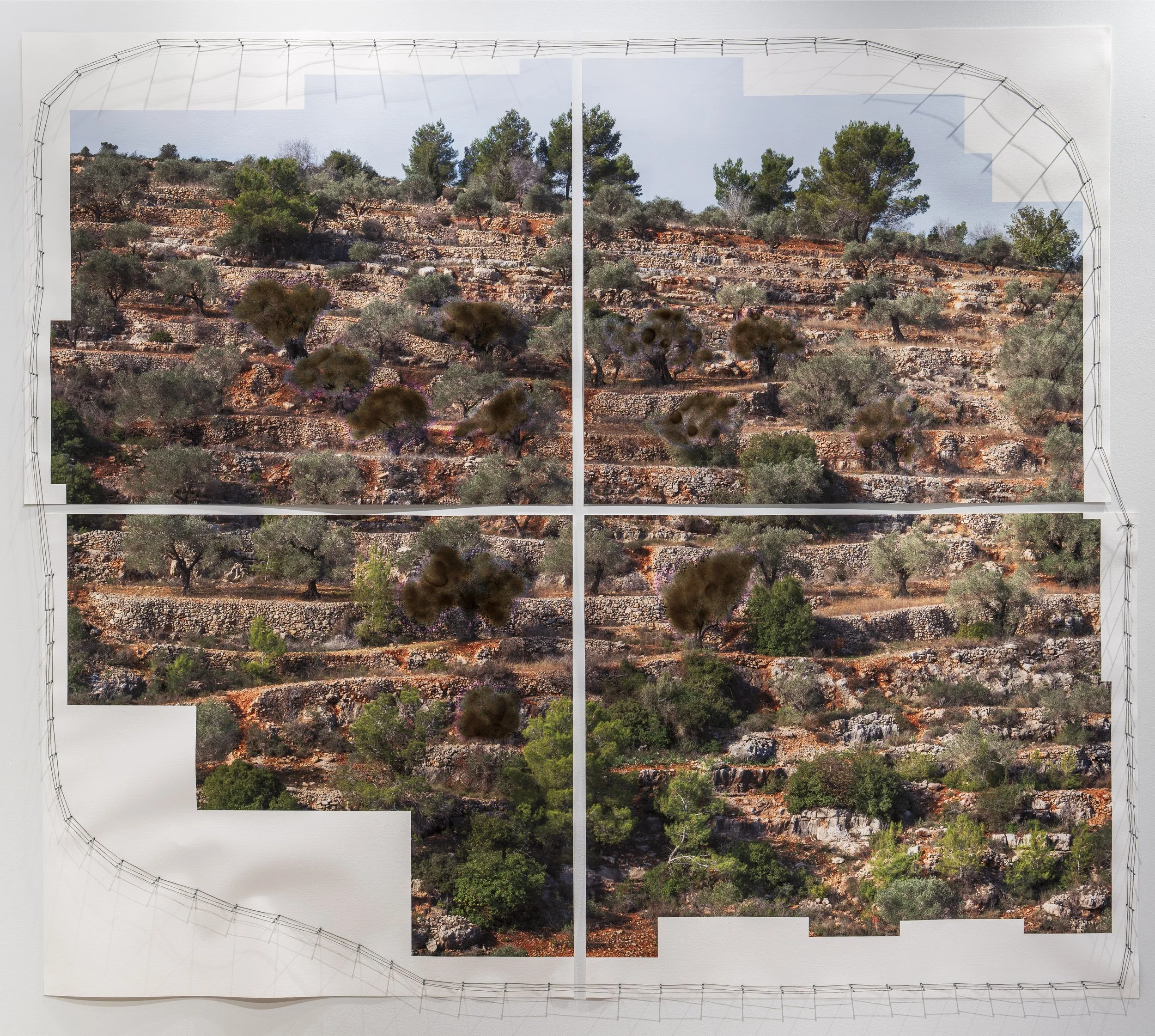 Archival pigment prints from digitally stitched photographs, burned print surface, 2025.