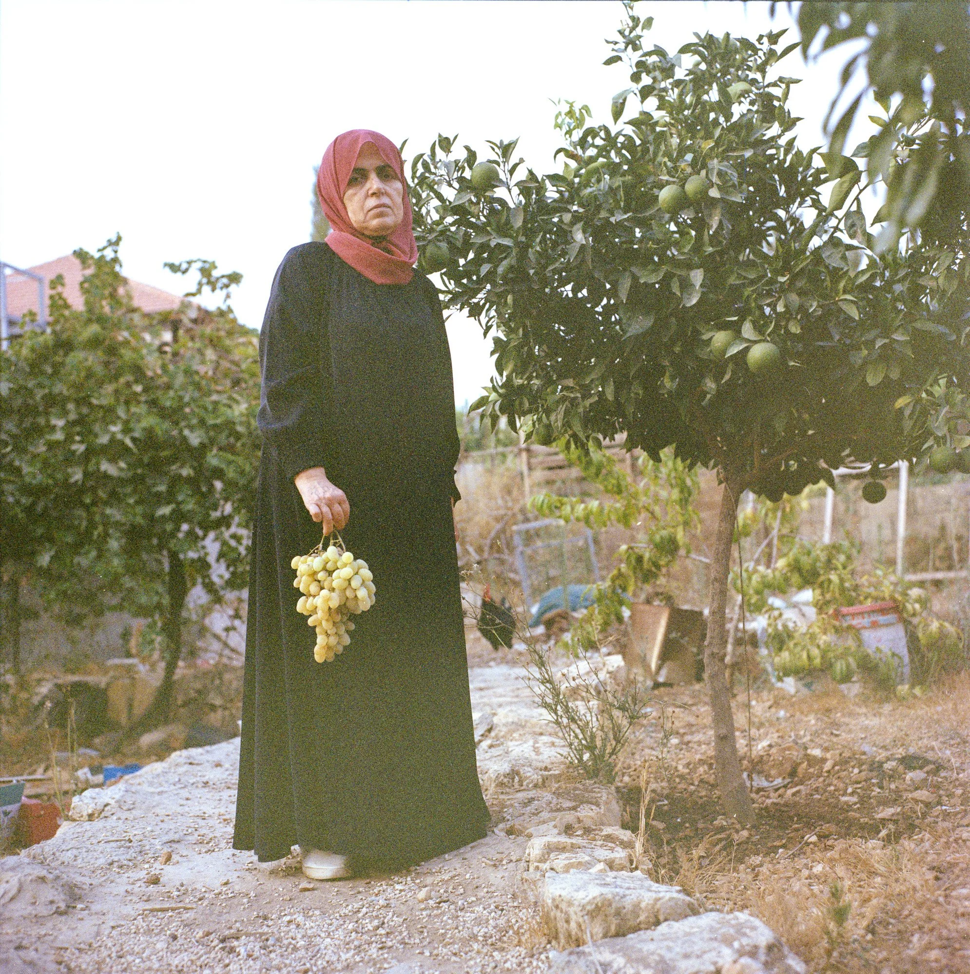 Color 120 film photograph, Archival Pigment print, 2023