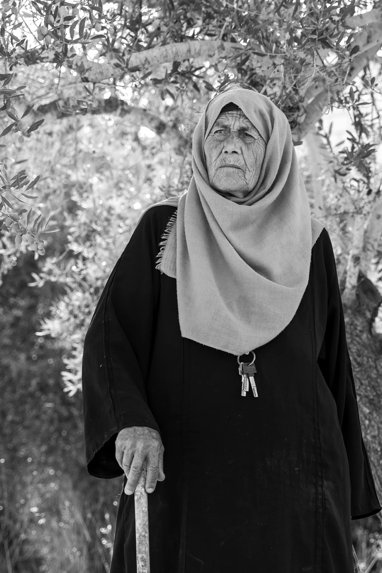 Digital photograph, archival pigment print, 2023.