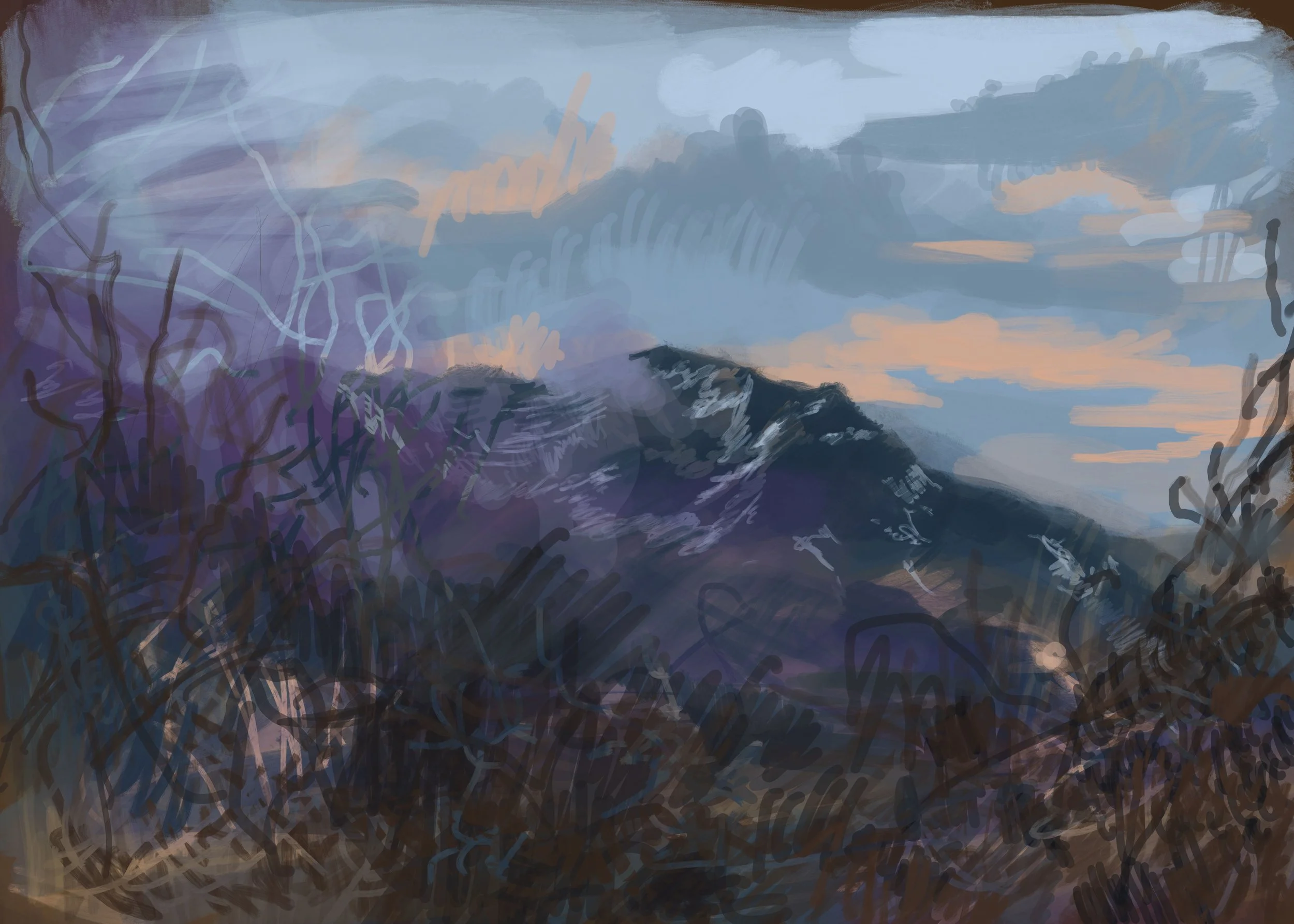 Tanera 28 | iPad Drawing 