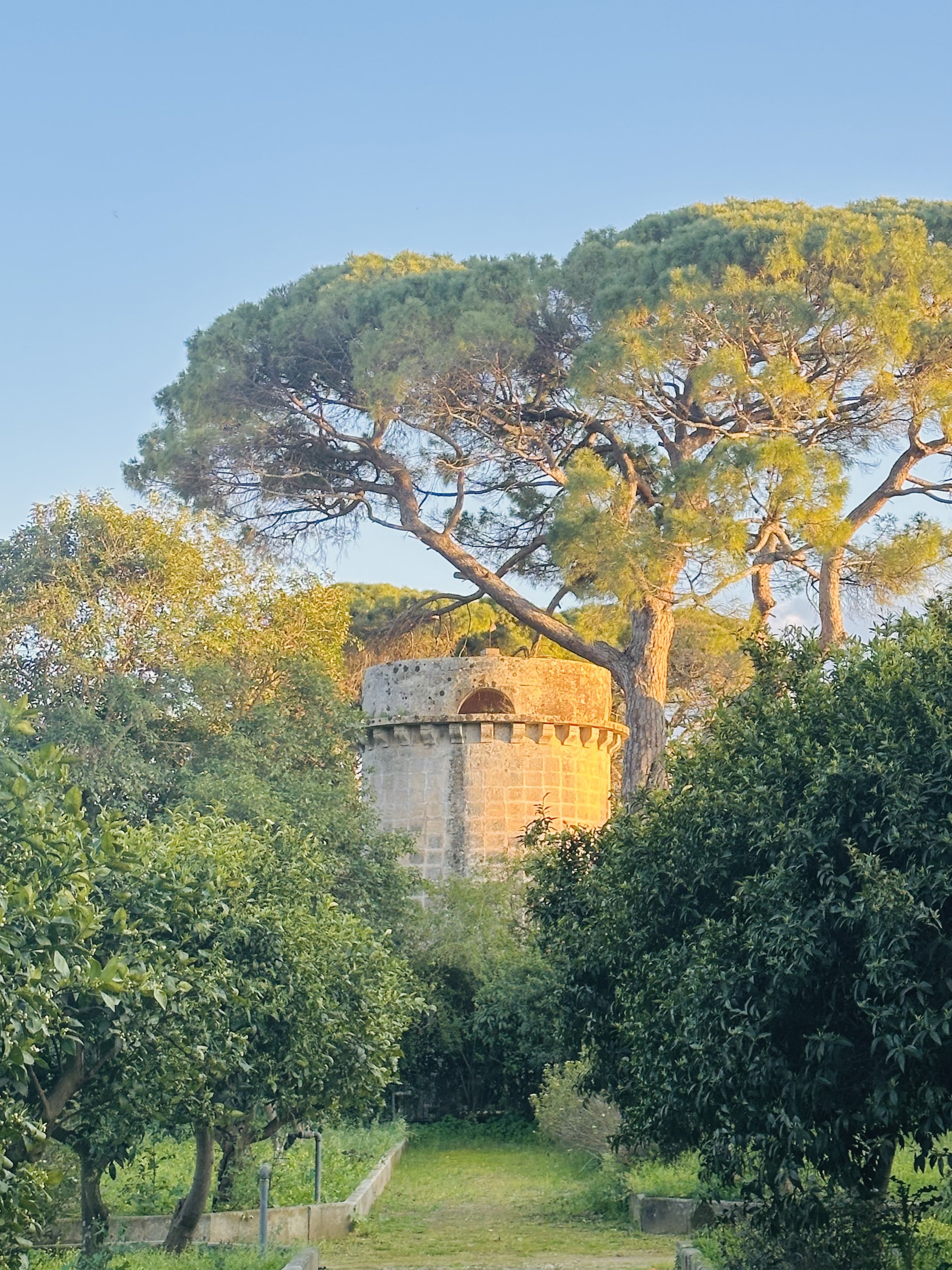 Historic medieval pigeon tower at Palazzo Bacile in Spongano, Puglia, surrounded by greenery, once used under feudal rights as a symbol of noble privilege and rural estate life