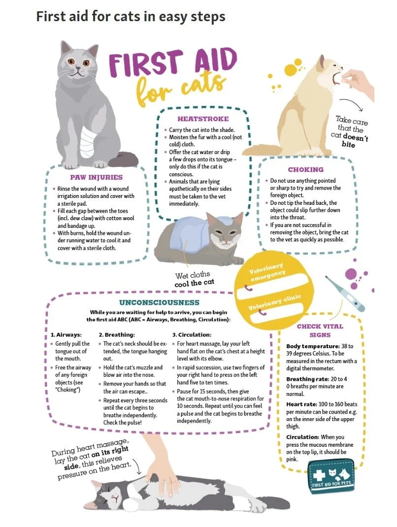First Aid for Cats - This chart outlines some techniques and treatments if your cat is in immediate need of first aid intervention. However, it is not meant to replace a veterinary visit.