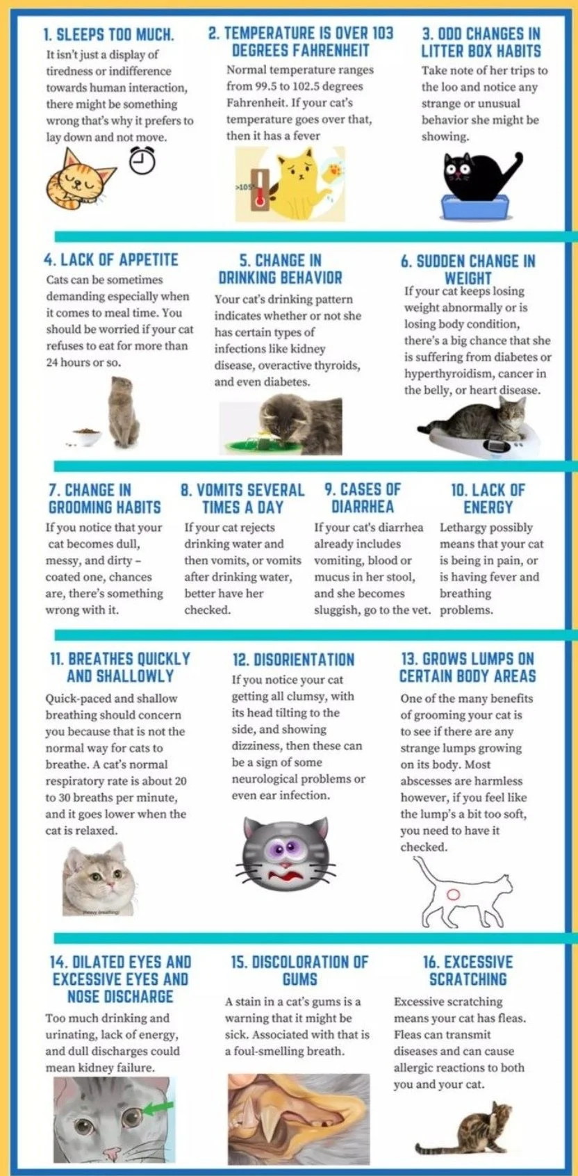 Signs of Illness in Cats - Cats instinctively take measures to hide their illnesses in order to protect themselves from predators. It is important to note any changes in their behavior or routine. This simple chart will help you decide whether it’s