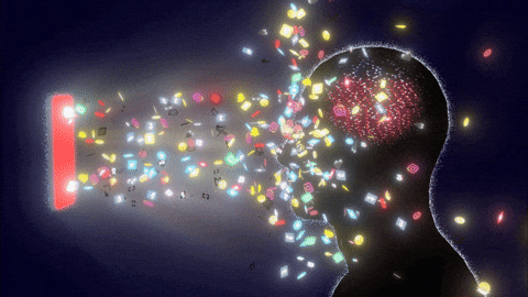 track-audience-data-headmaster-marketing-albuquerque