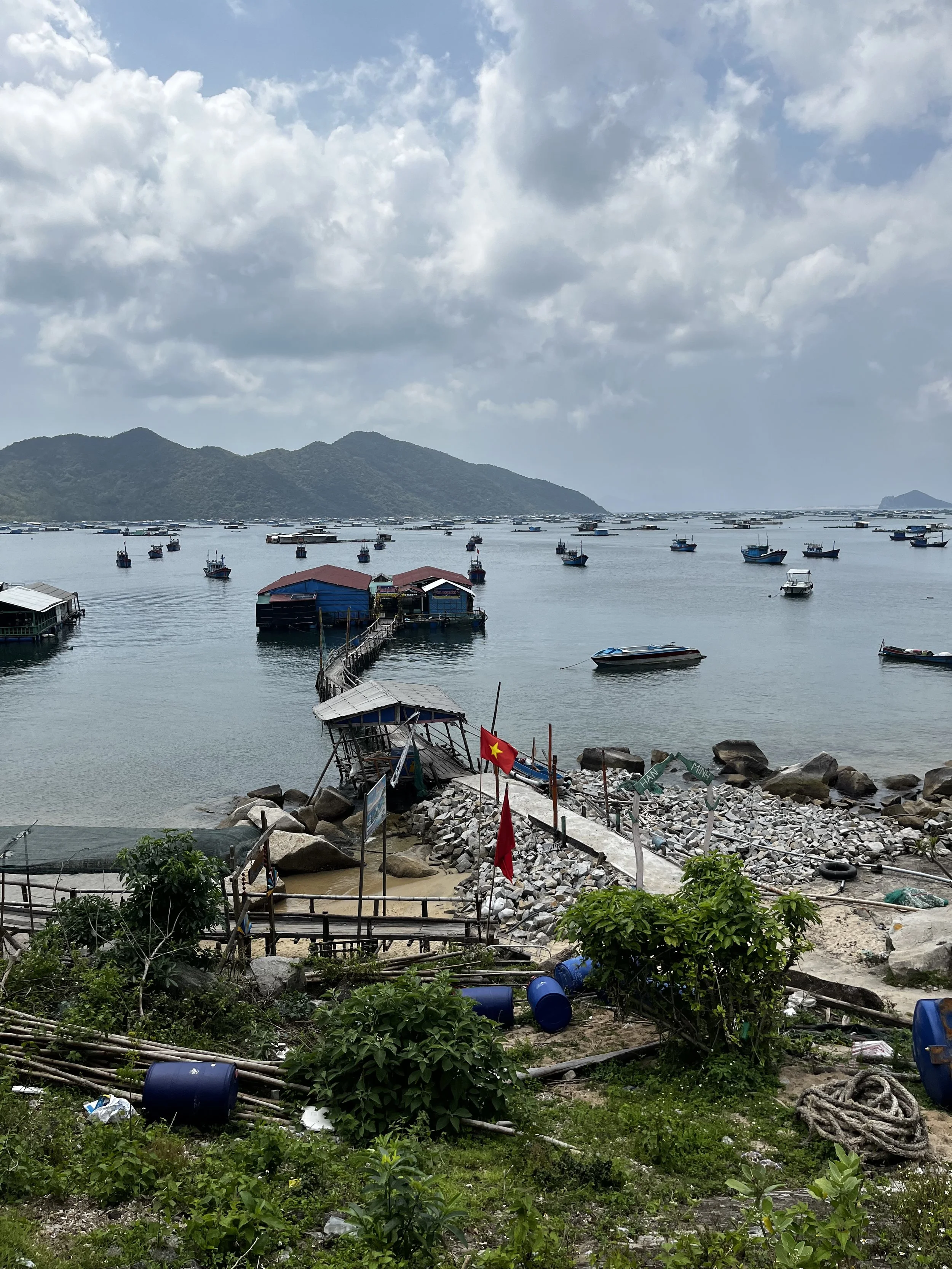 IMG_0173.jpeg