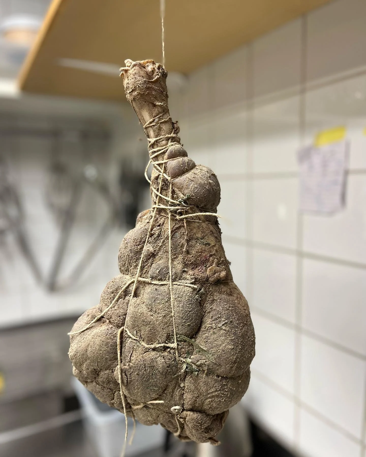 Lamb ham