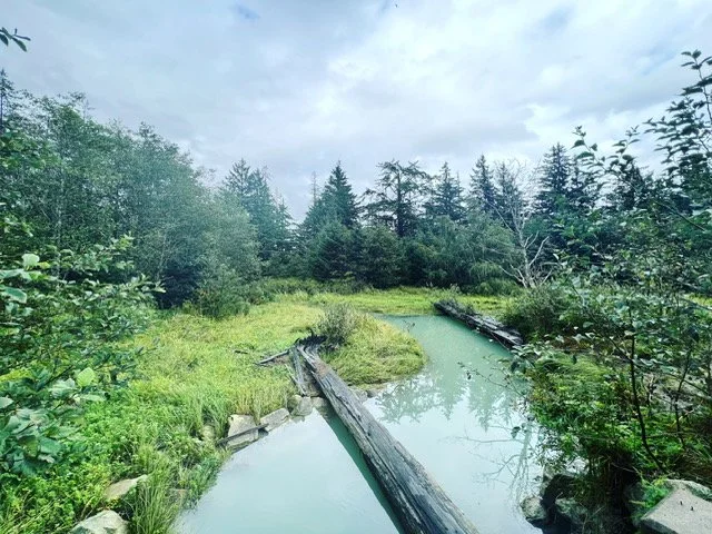 Calm Place Visualization