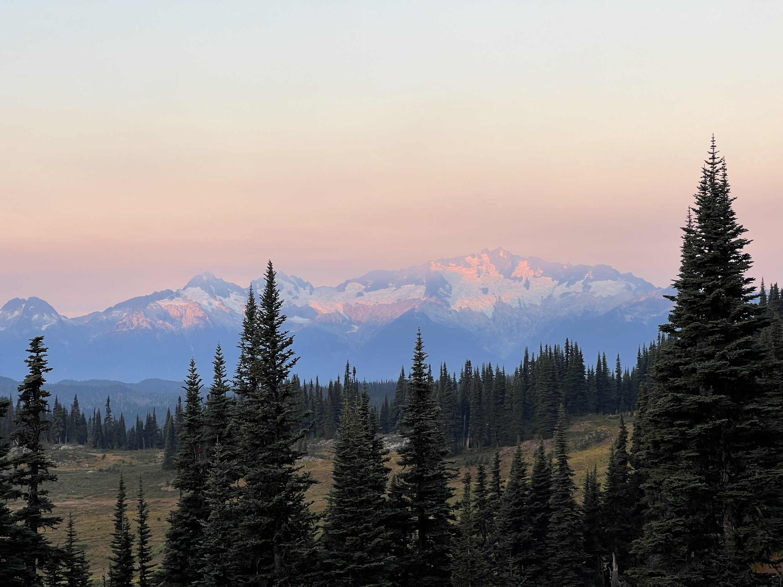 Panoramic view of snow-capped mountains at sunset, with a forest of evergreen trees in the foreground.