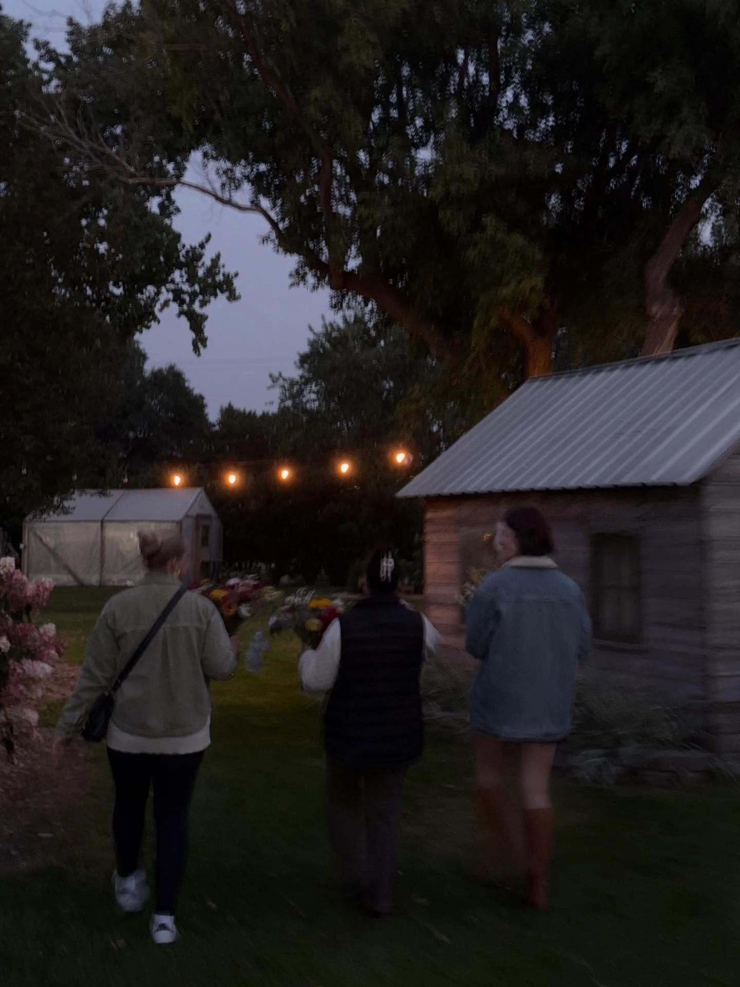 Interrupting the fall feed for one last summer dumpy 🌷☀️🍒