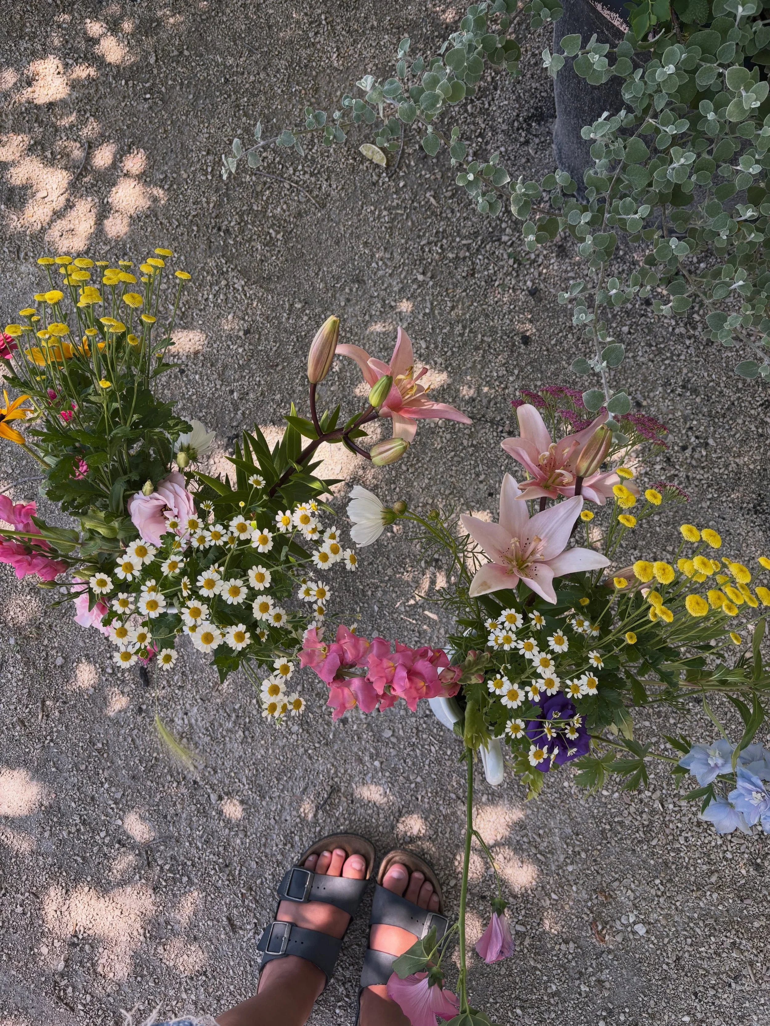 It&rsquo;s been a minute since I photo dumped on here 💐 

Flower picking at @lilystonegardens was such a highlight this summer 🌼

@lilystonegardens continued&hellip; the most peaceful looking scene you ever did see 😌

🌅 

Cherry season is in fact