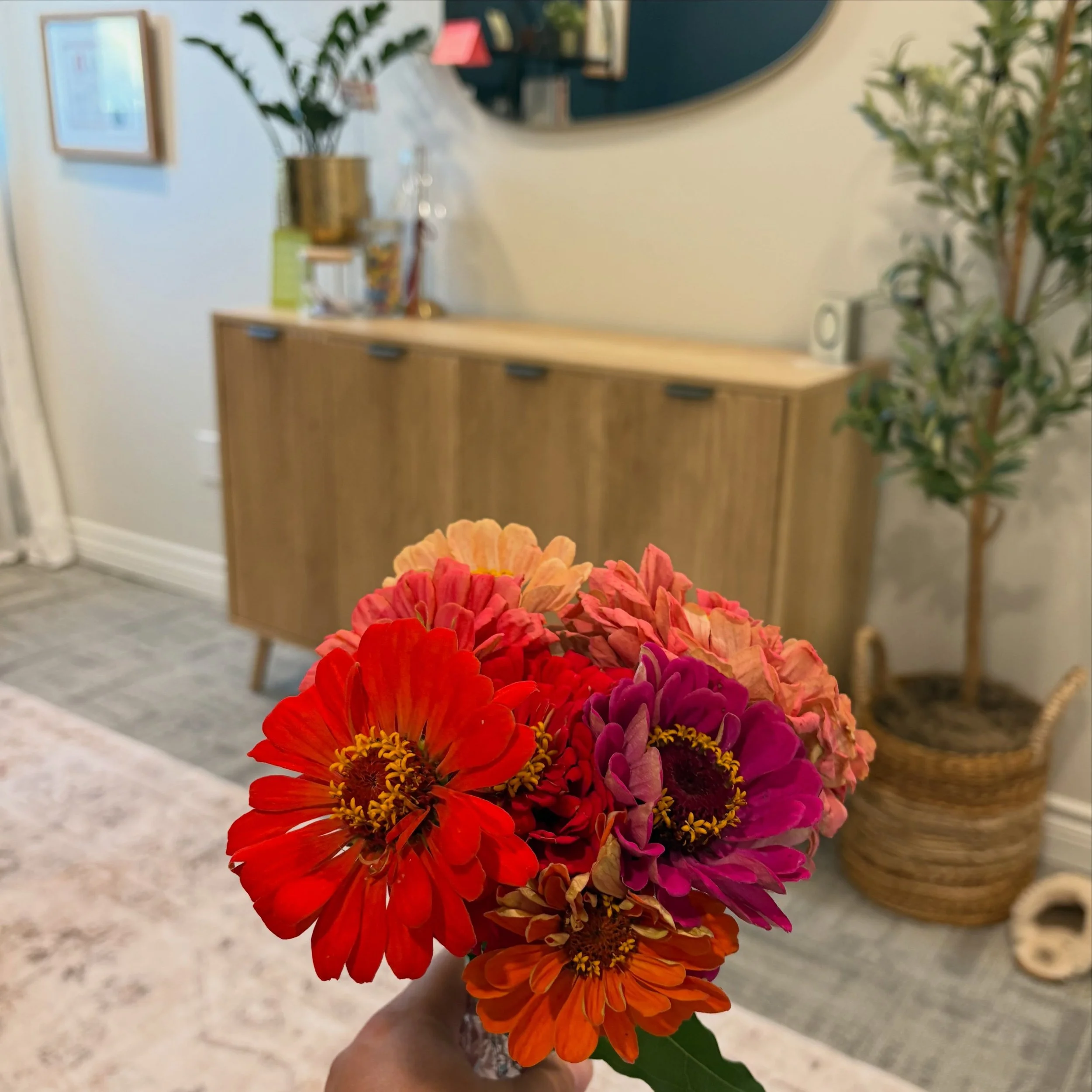 Flowers for your Tuesday 💐 I think everyone deserves to get flowers