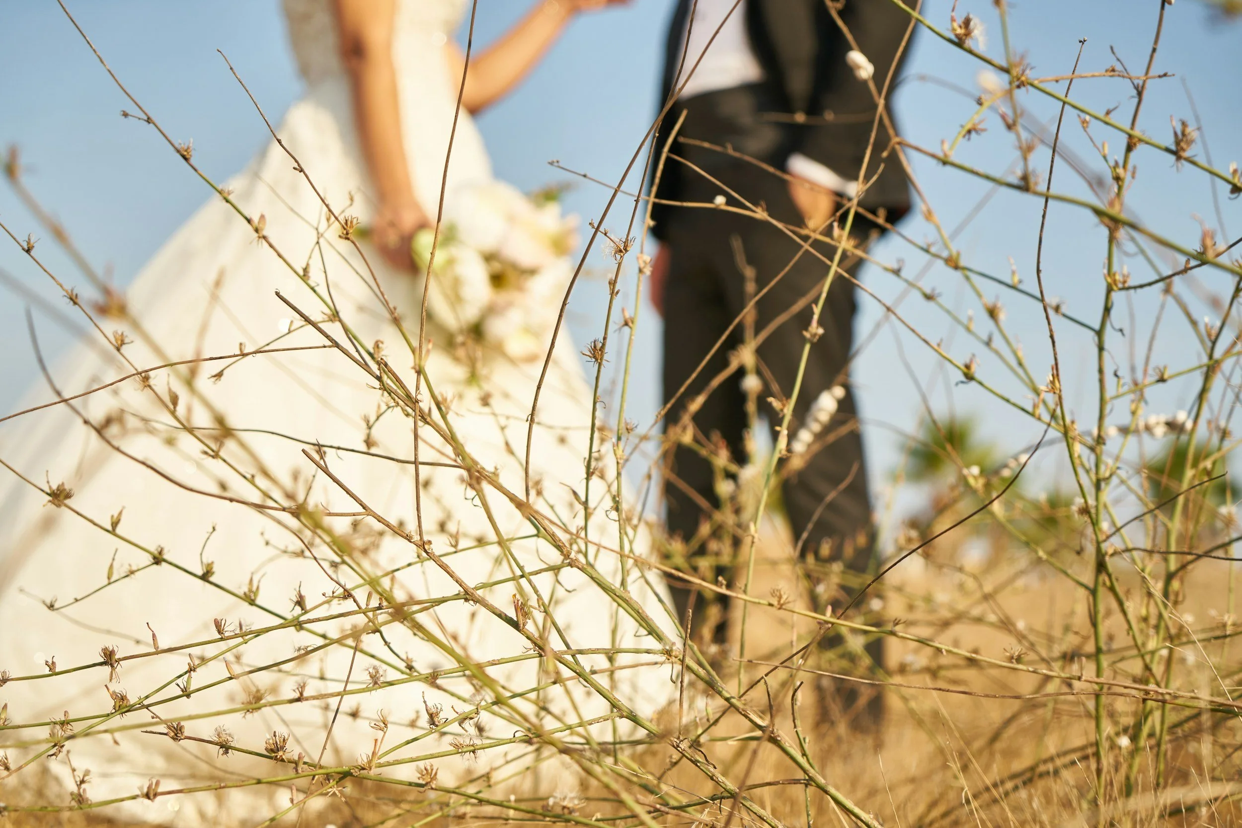 Picture Perfect: Capture Life’s Special Moments at Nature Valley Lodge