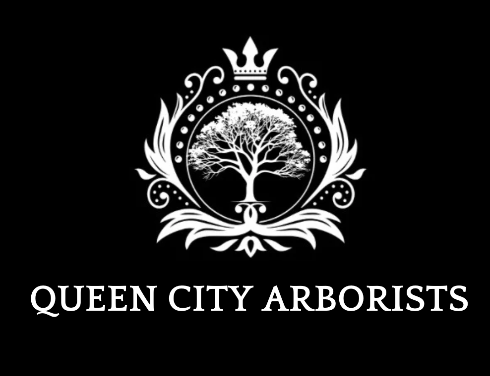 Queen City Arborists