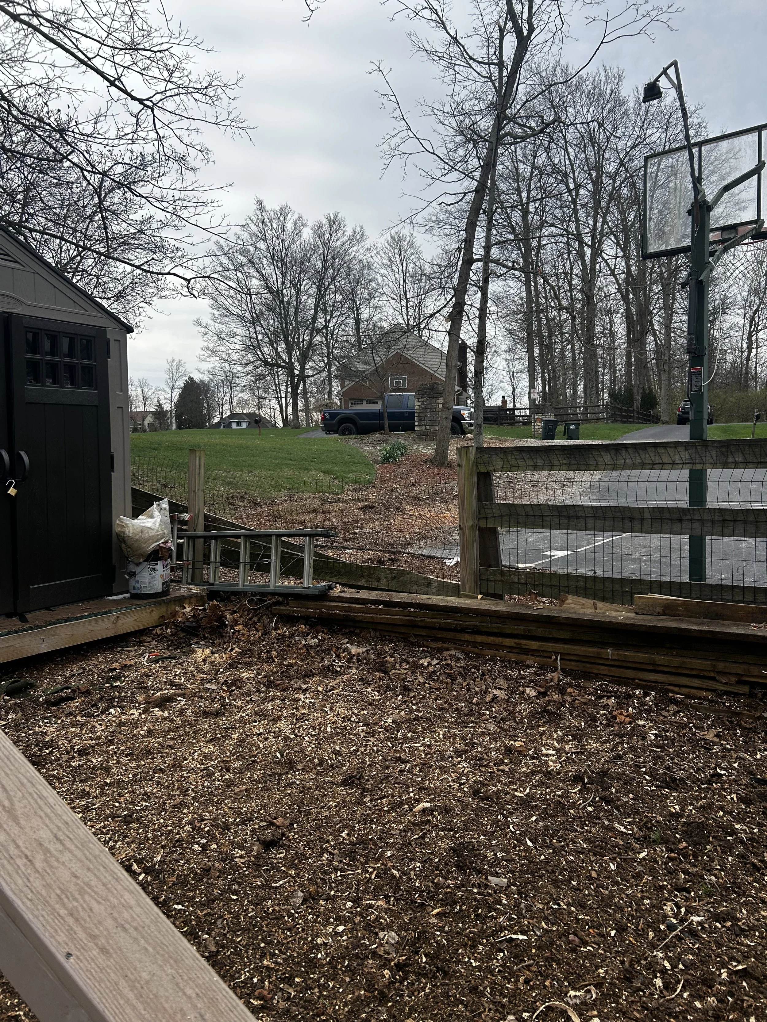 Emergency tree removal in Anderson Township, Ohio