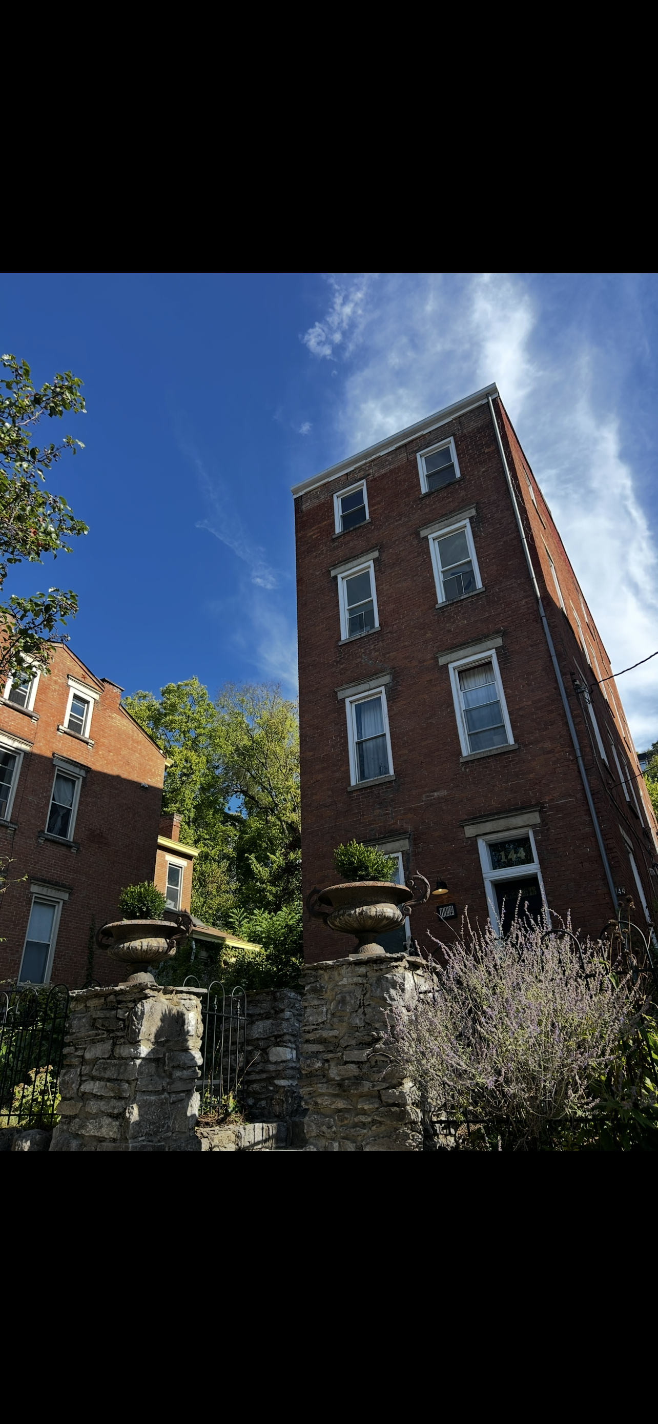 Tree removal for house clearance in Cincinnati, Ohio
