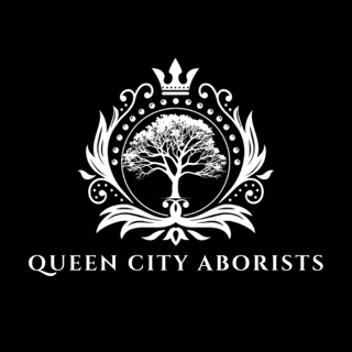 Stop Topping Trees: Why This Common Practice is Killing Cincinnati’s Trees