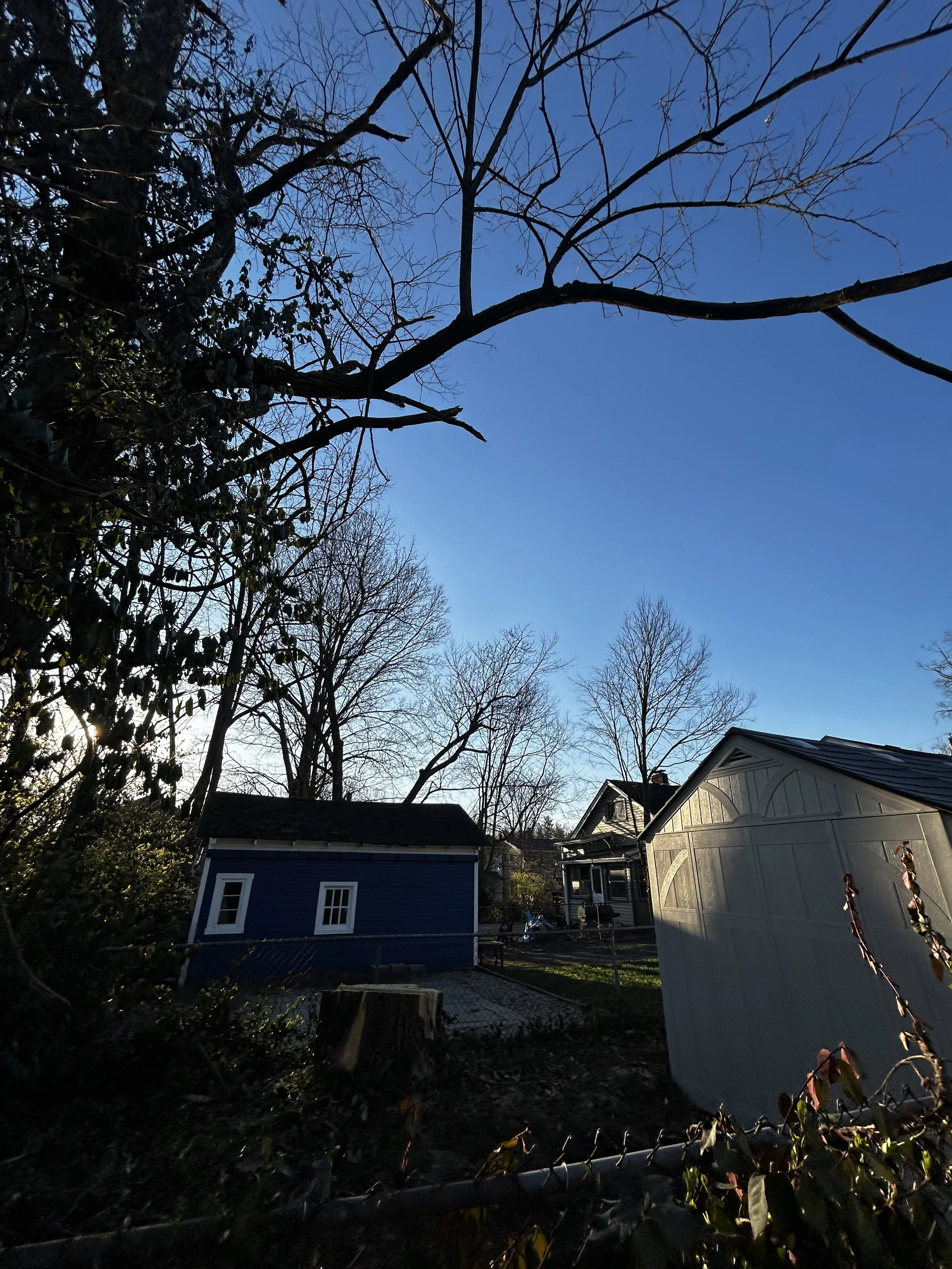 Hazardous tree removal in Mariemont, Ohio