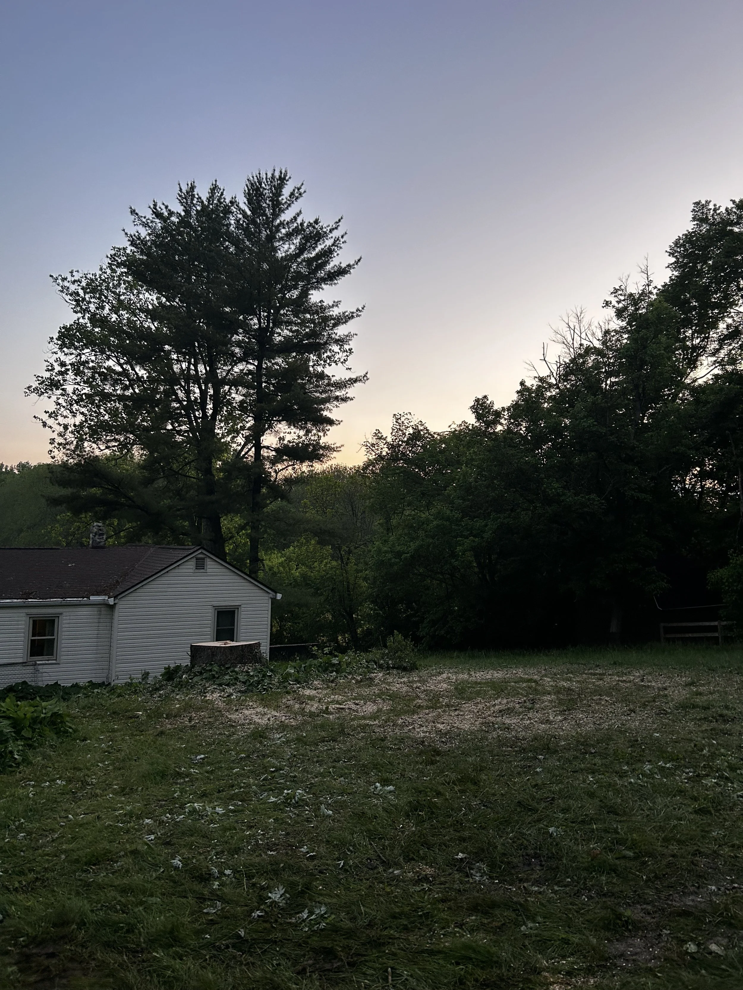 Tree removal in Milford, Ohio