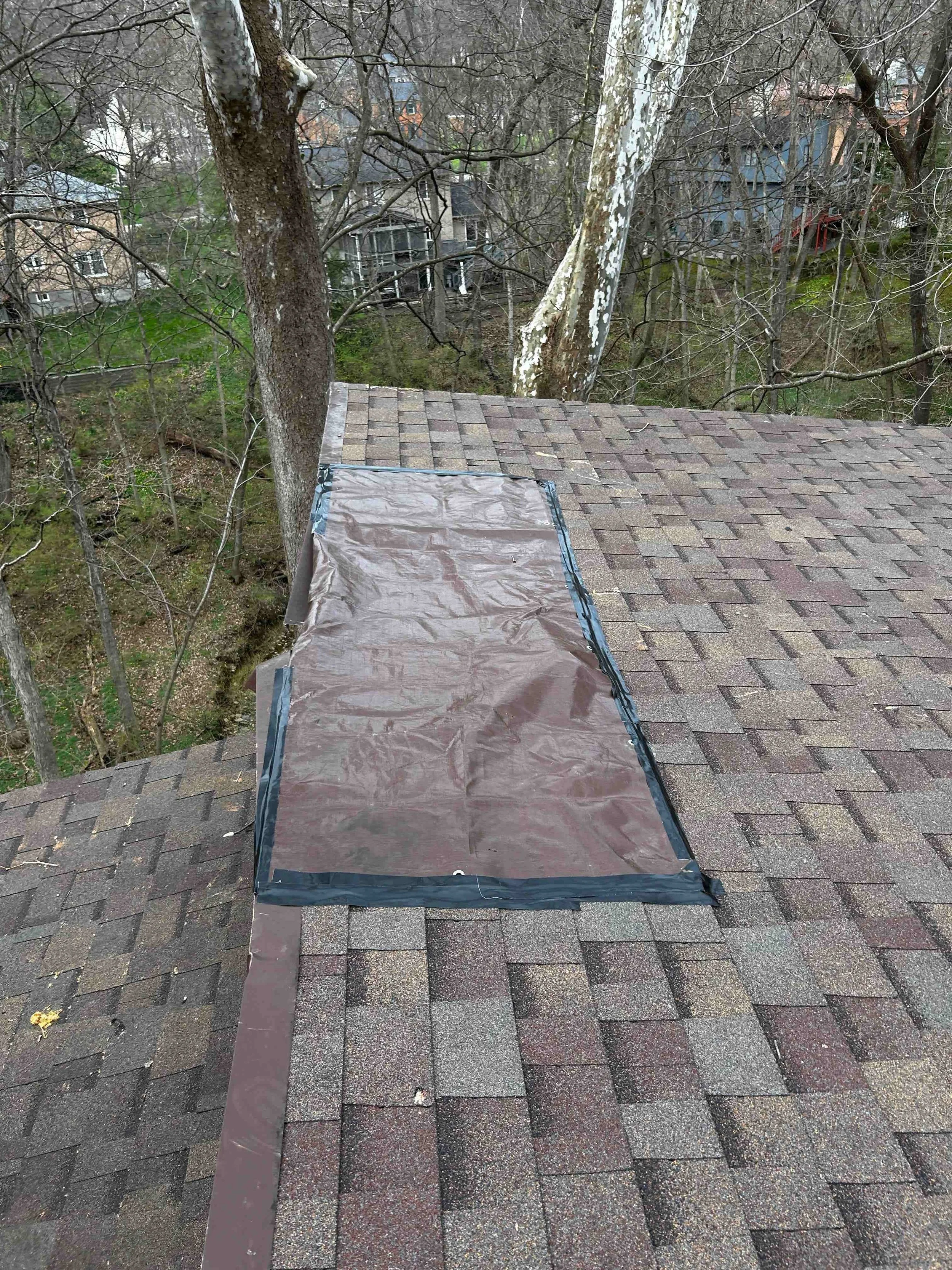 Emergency Tree Response in Anderson Township, Ohio 