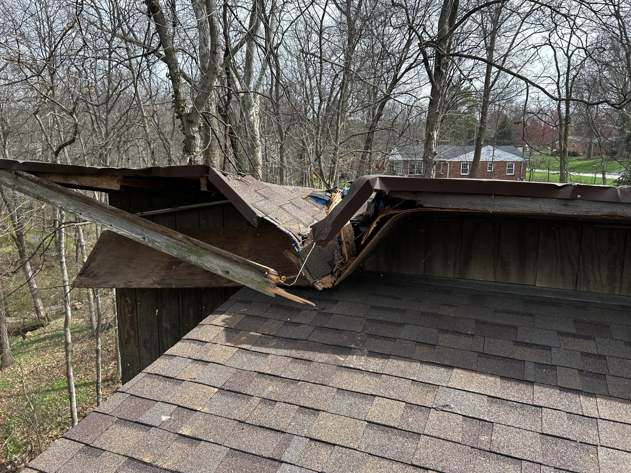 Emergency Tree Response in Anderson Township, Ohio 