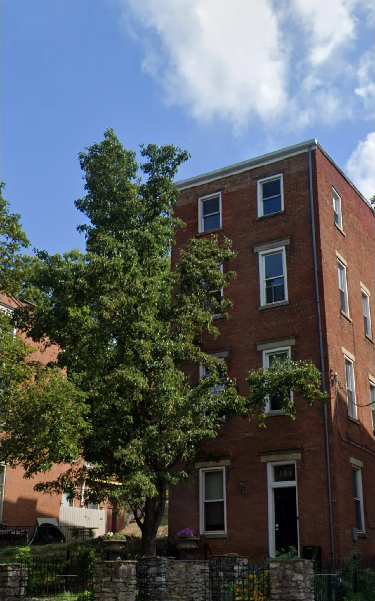 Tree removal for house clearance in Cincinnati, Ohio